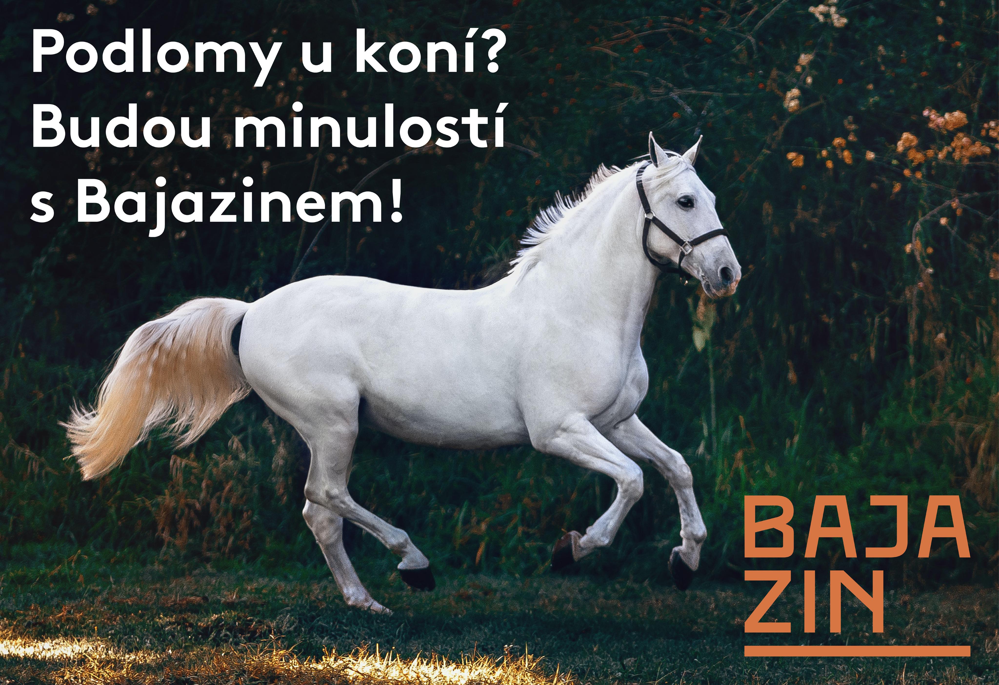 Bajazin.com foto 1