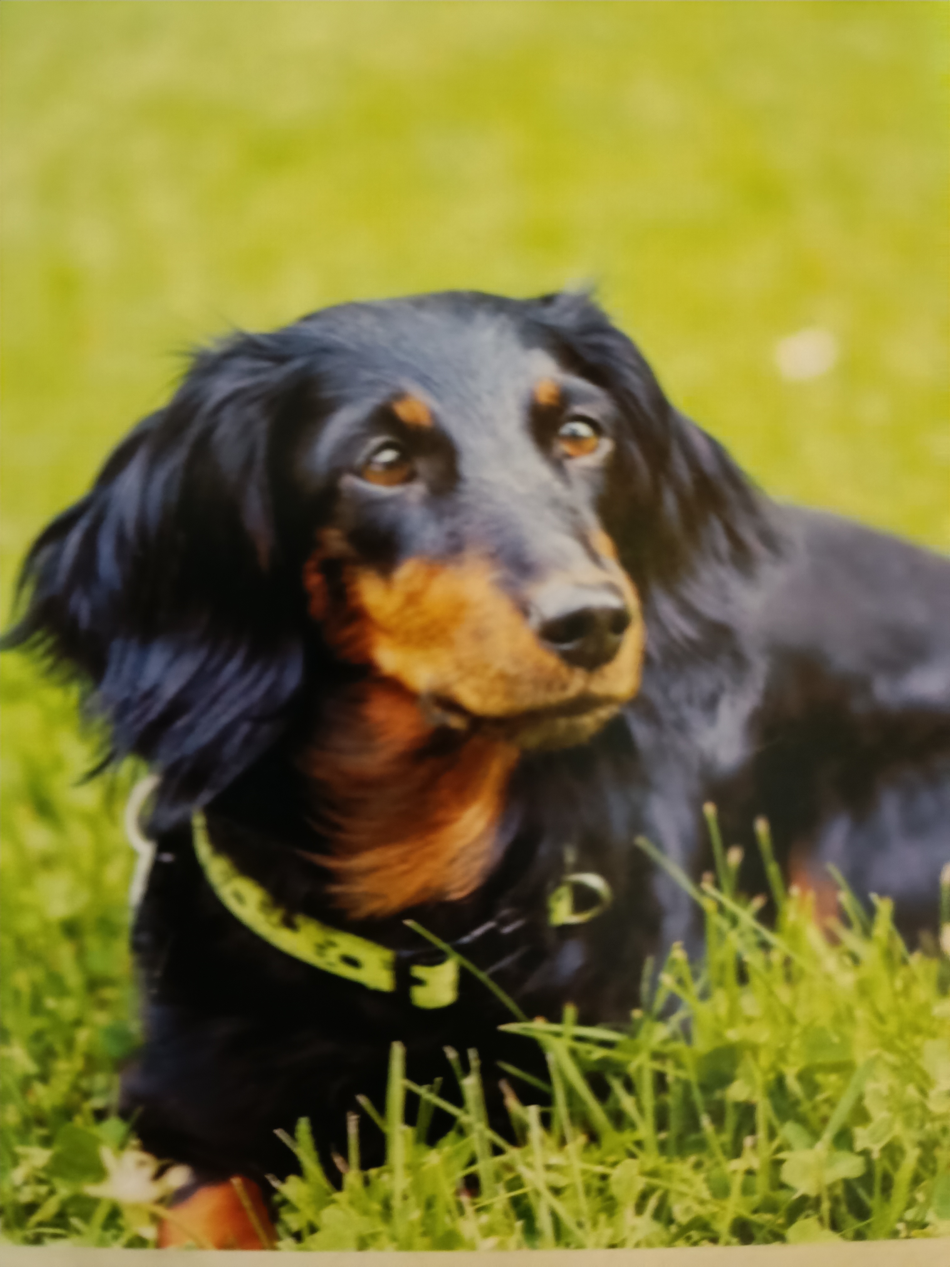 MVDr. Václav Vačkář - Veterinární ordinace foto 2