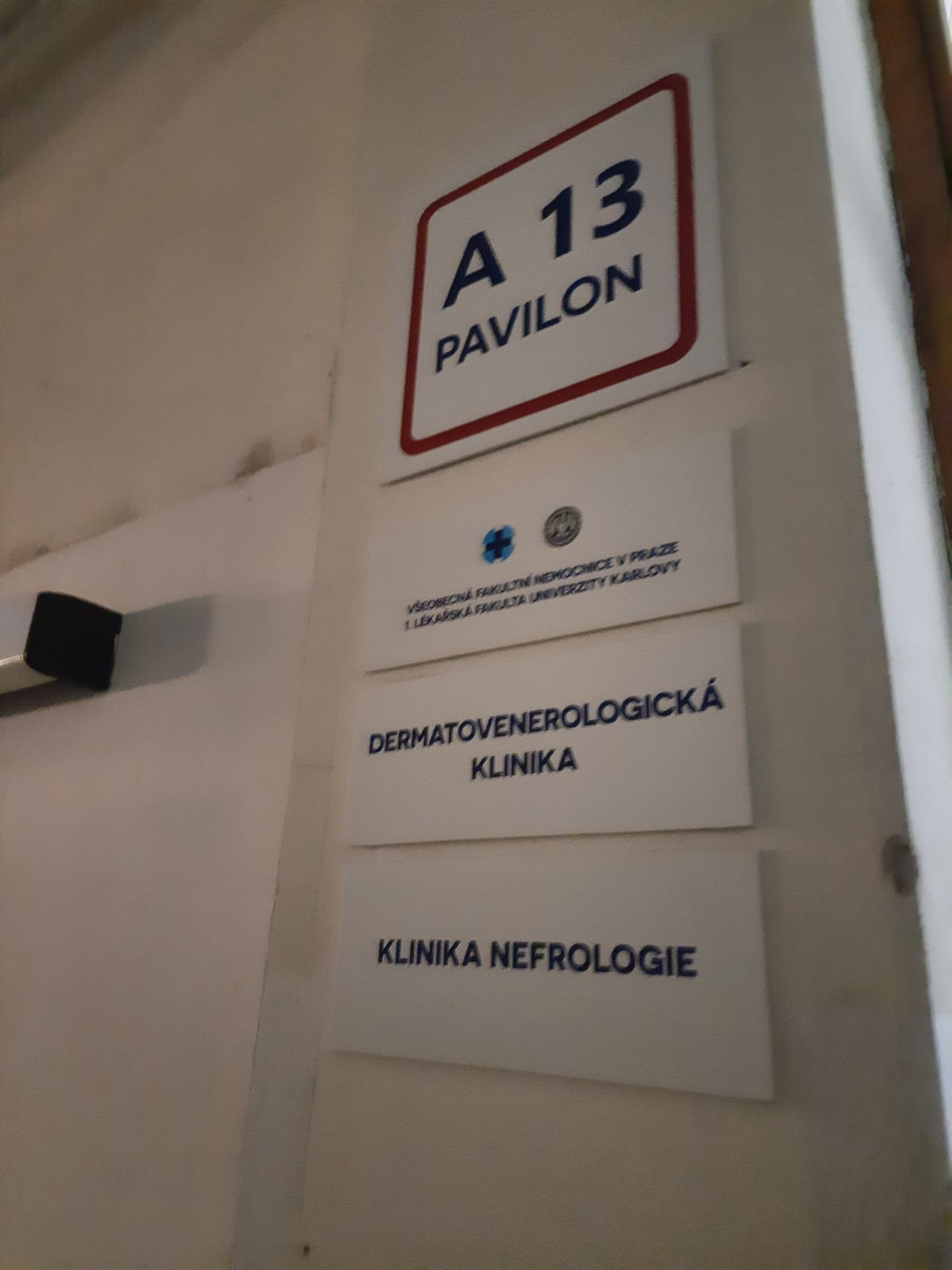 Dermatovenerologická klinika VFN a 1. LF UK foto 3