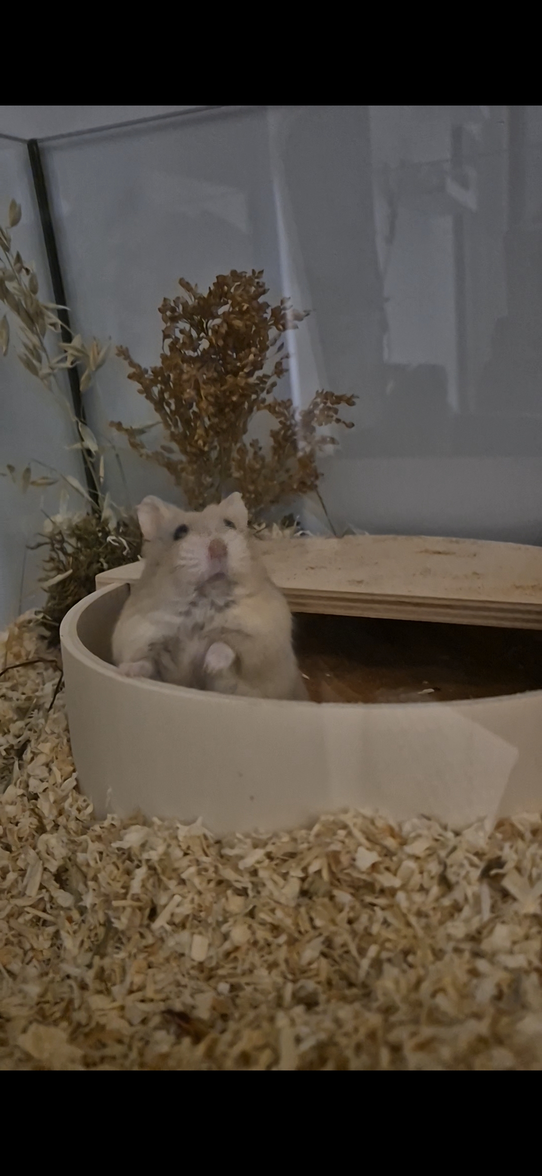 Veterinární klinika Na Hůrce foto 6