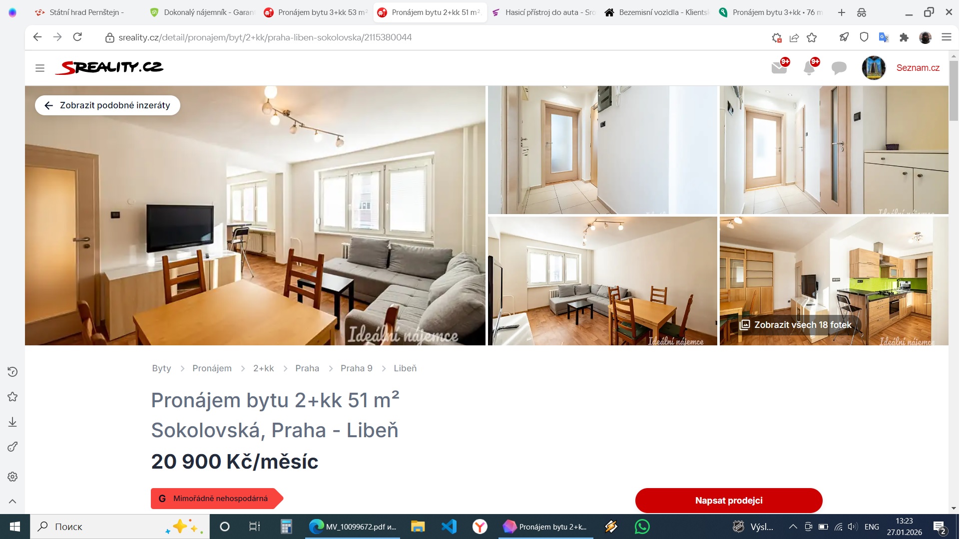 Ideální nájemce foto 5
