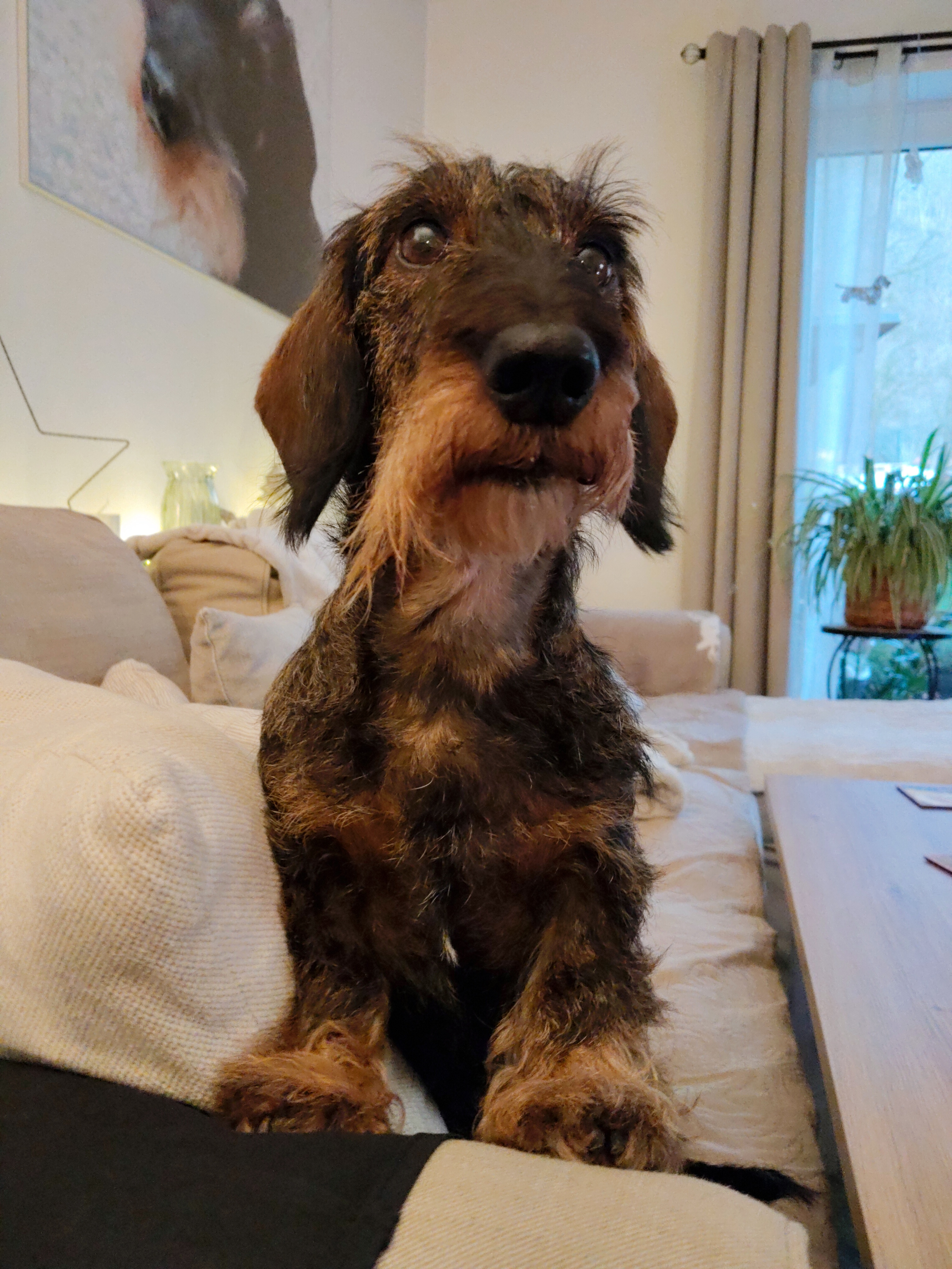 Veterinární klinika Kaděra, s.r.o. foto 6