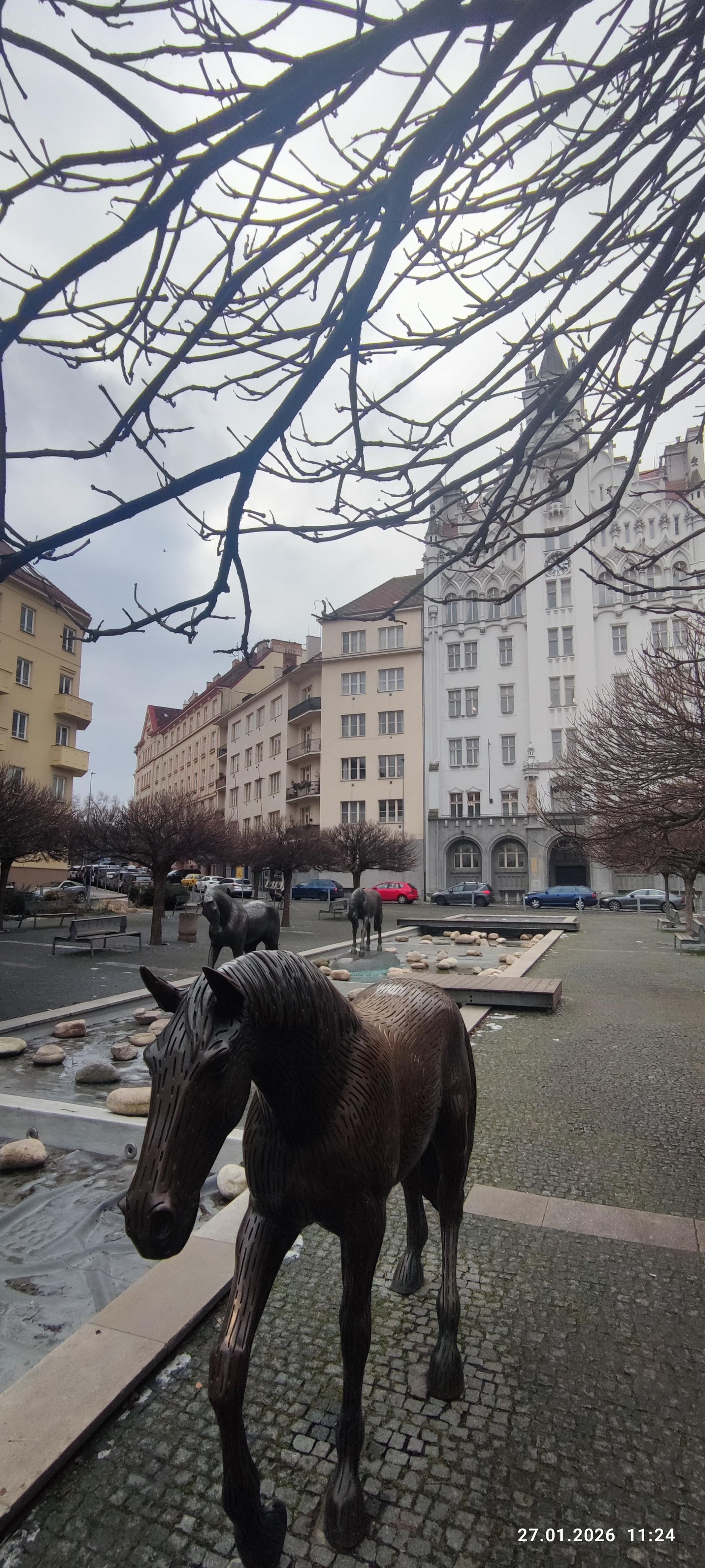 Restaurace Vegetka foto 4