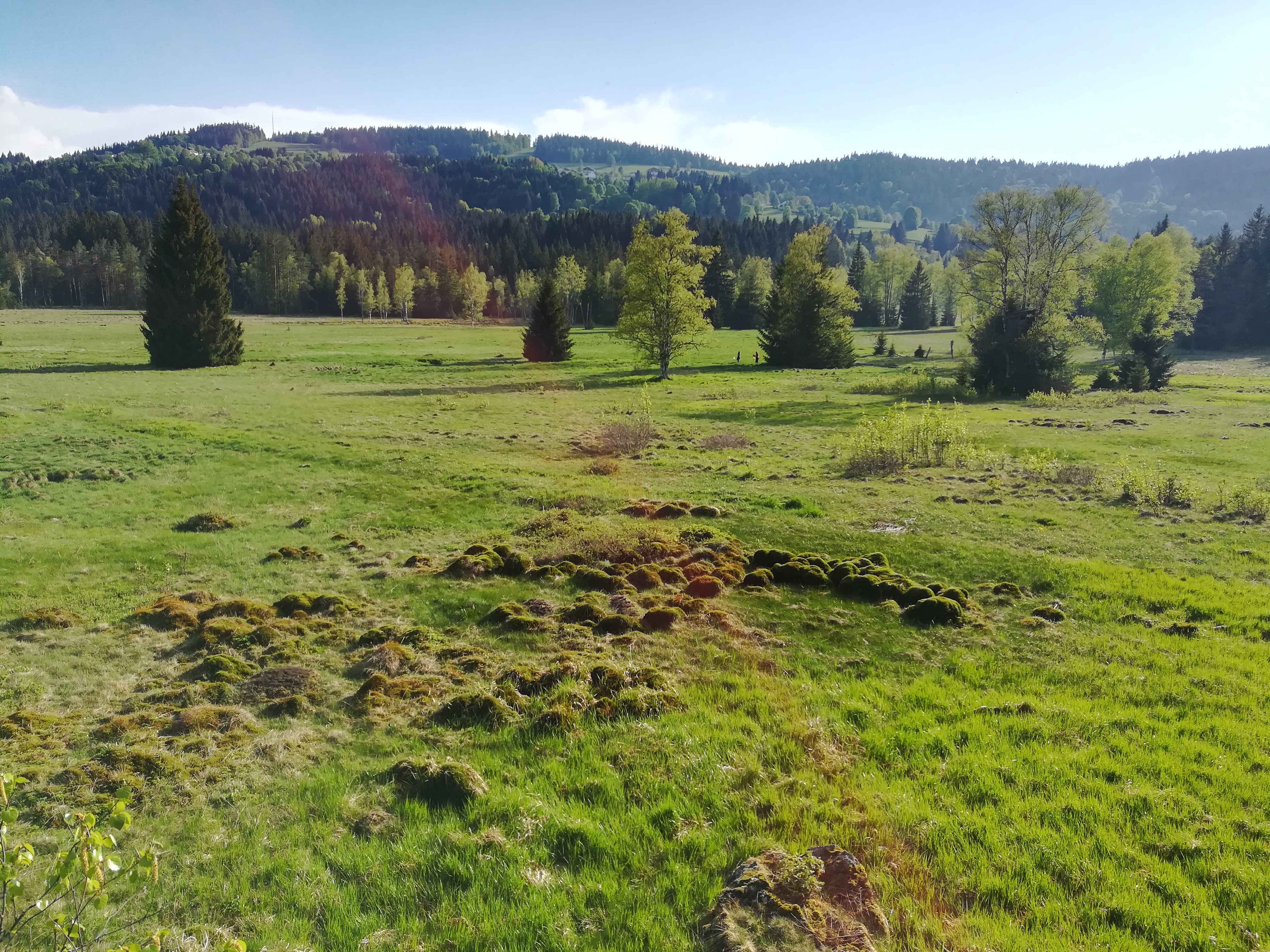 Stellplatz Dobrá na Šumavě foto 5