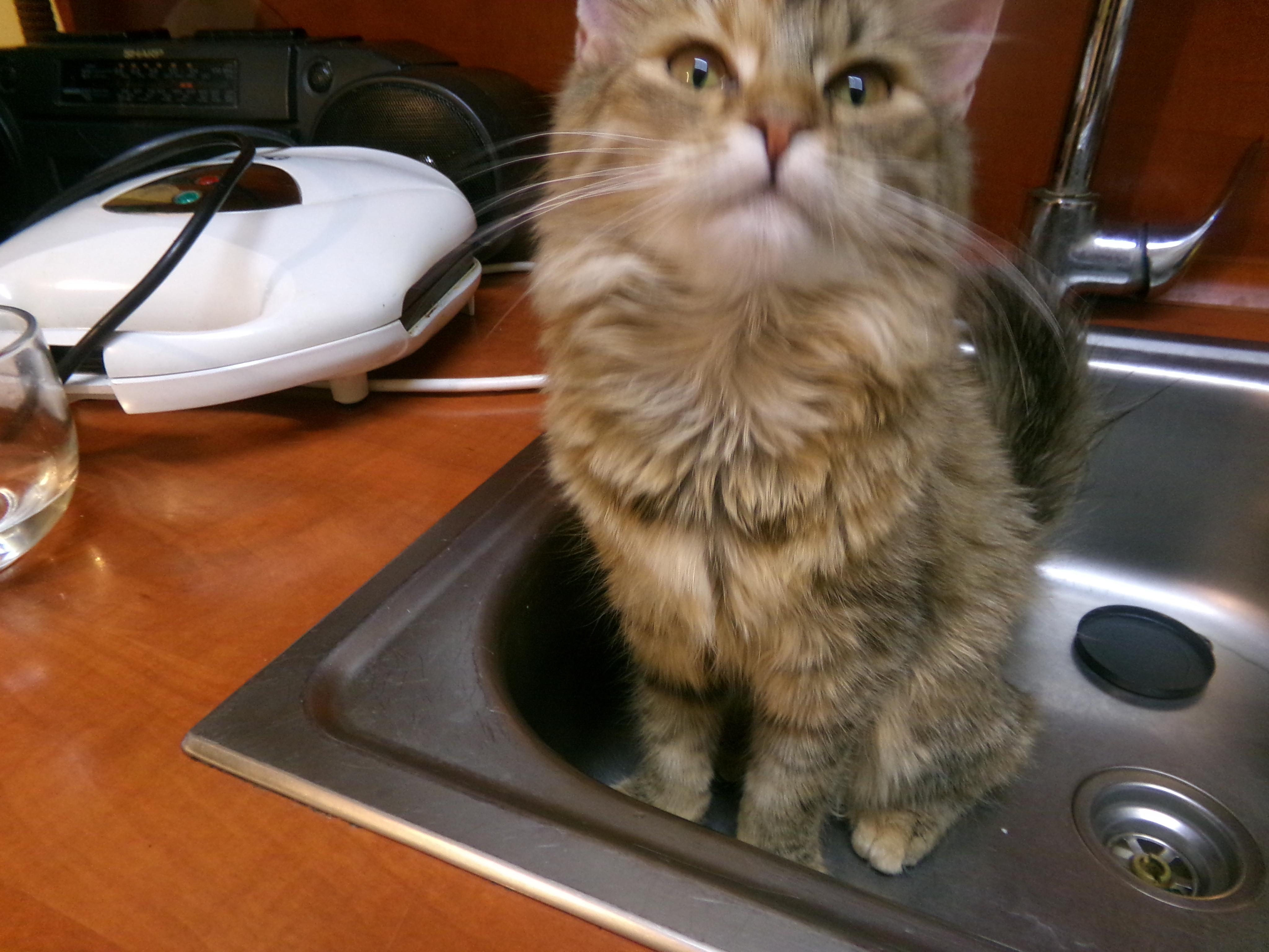 MUDr. Milena Marešová, praktický lékař pro dospělé, s.r.o. foto 2