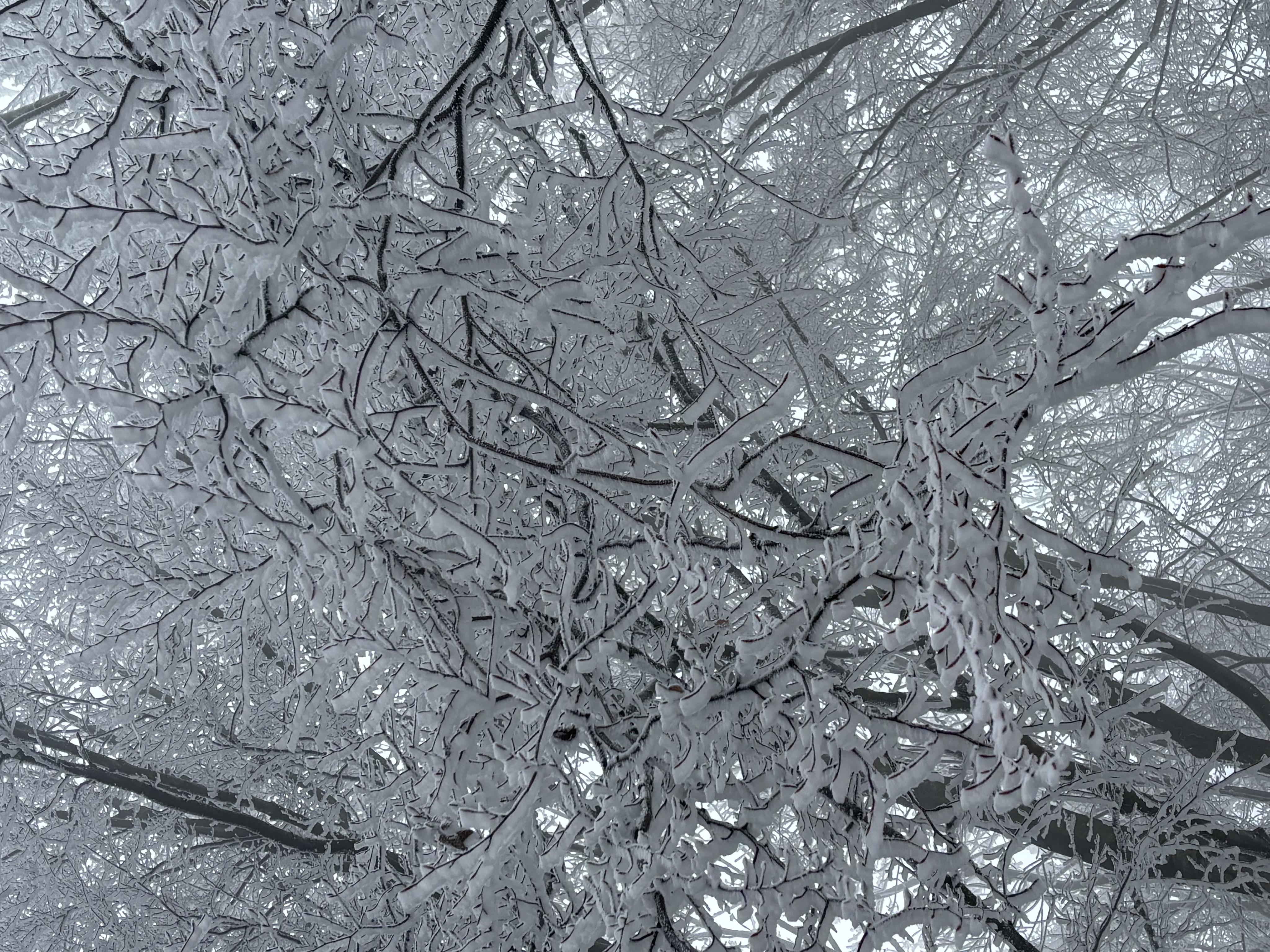 TESÁK - Rekreační středisko foto 4