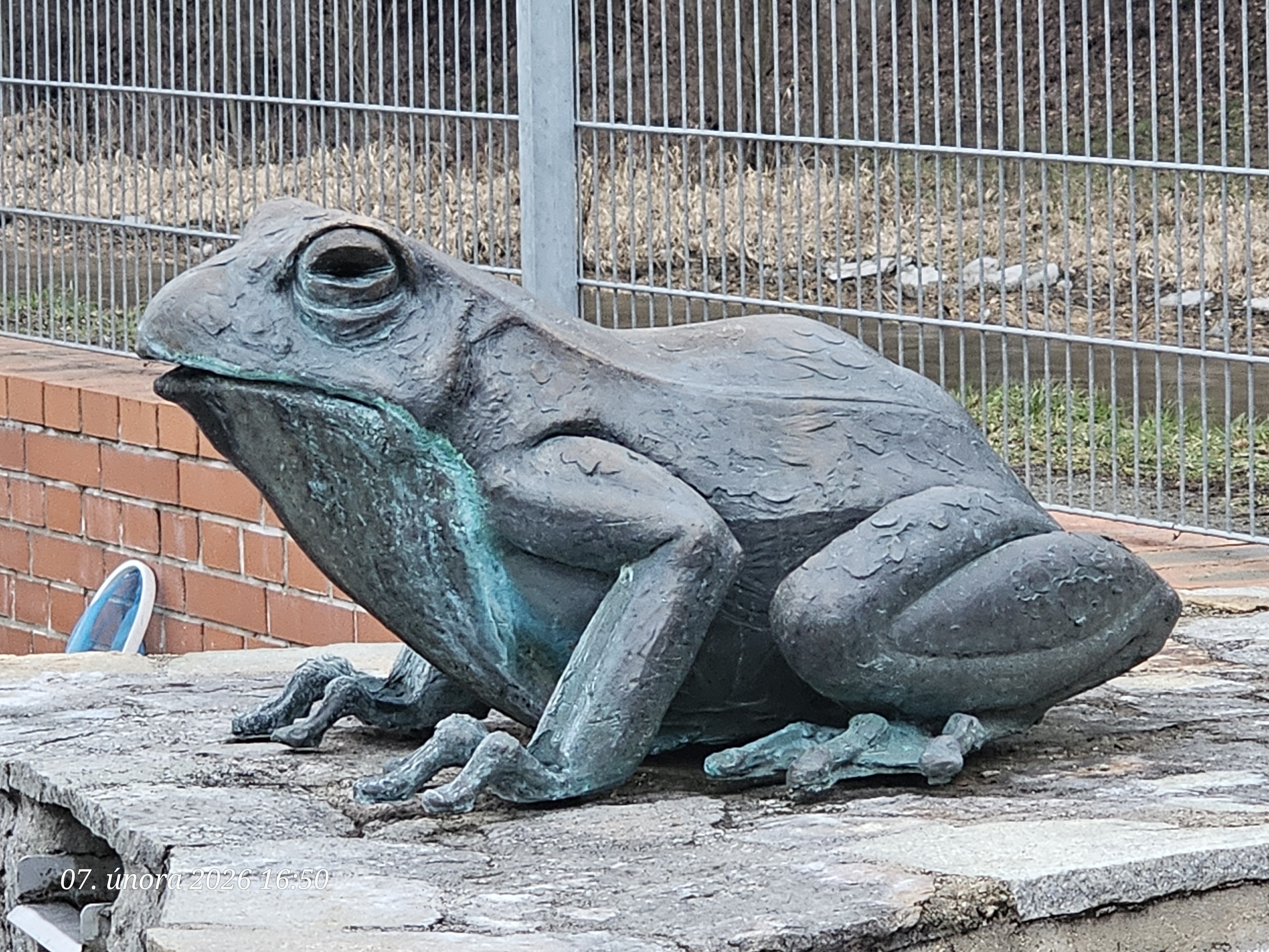 Zámecký biotop foto 4