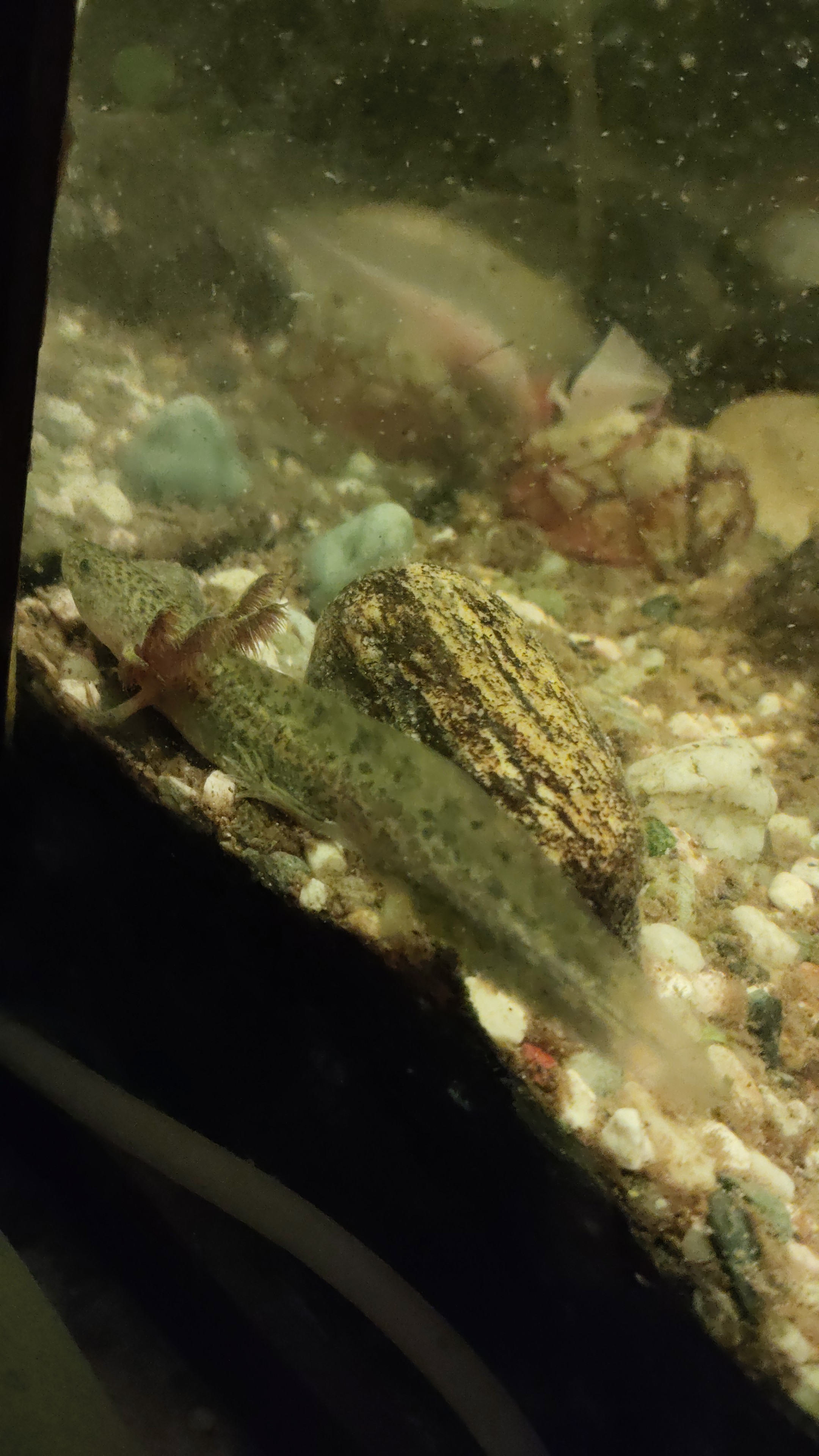 TETRA ZOOCENTRUM foto 5