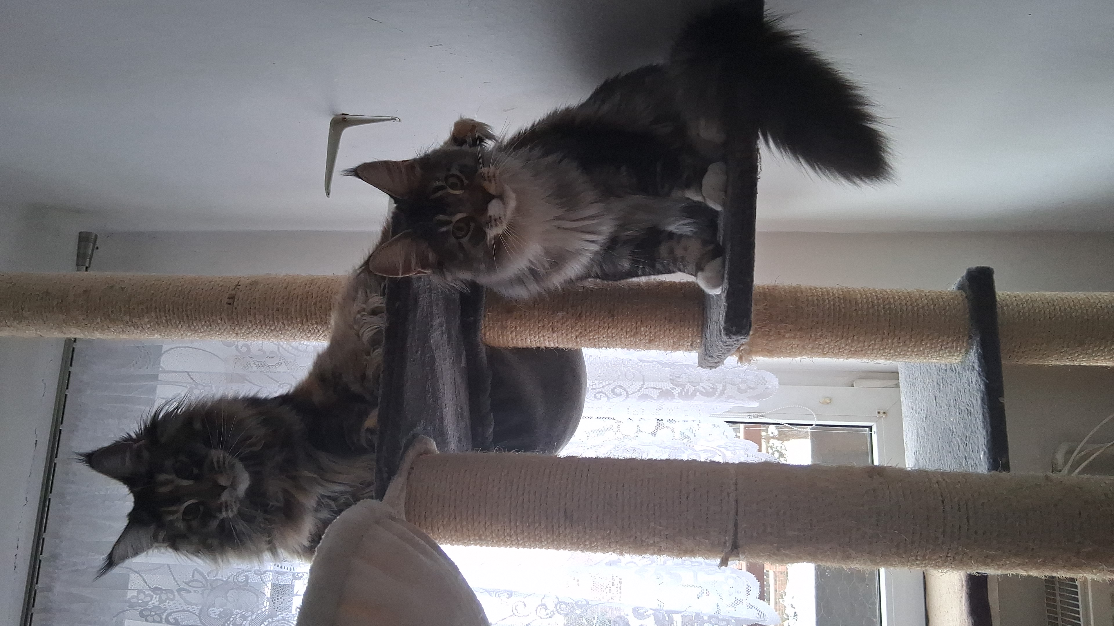 UNIDO ZOO market s.r.o. foto 5