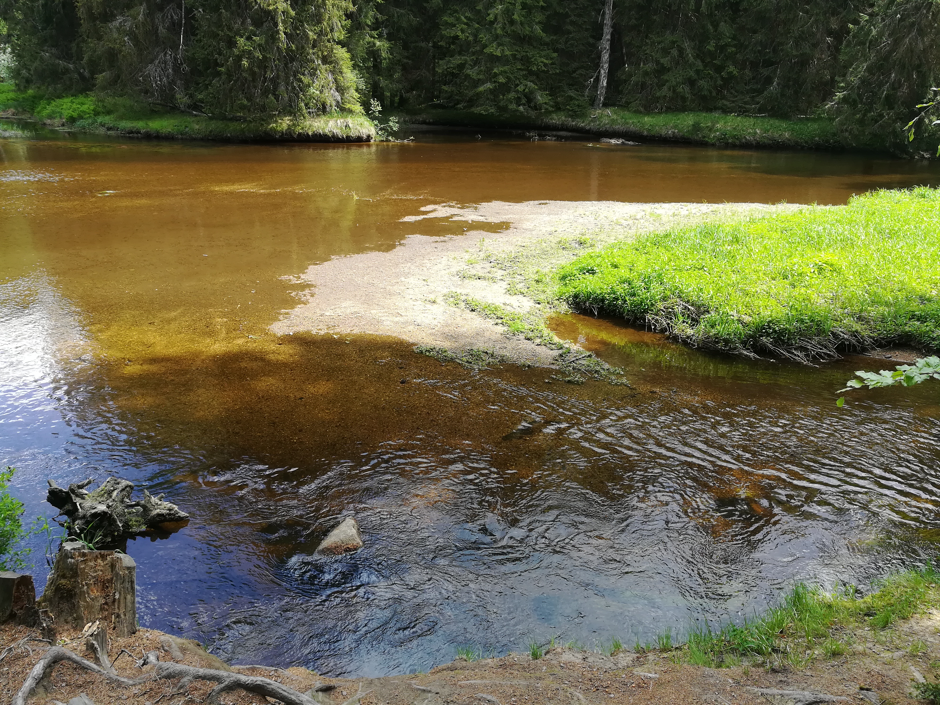 Stellplatz Dobrá na Šumavě foto 6