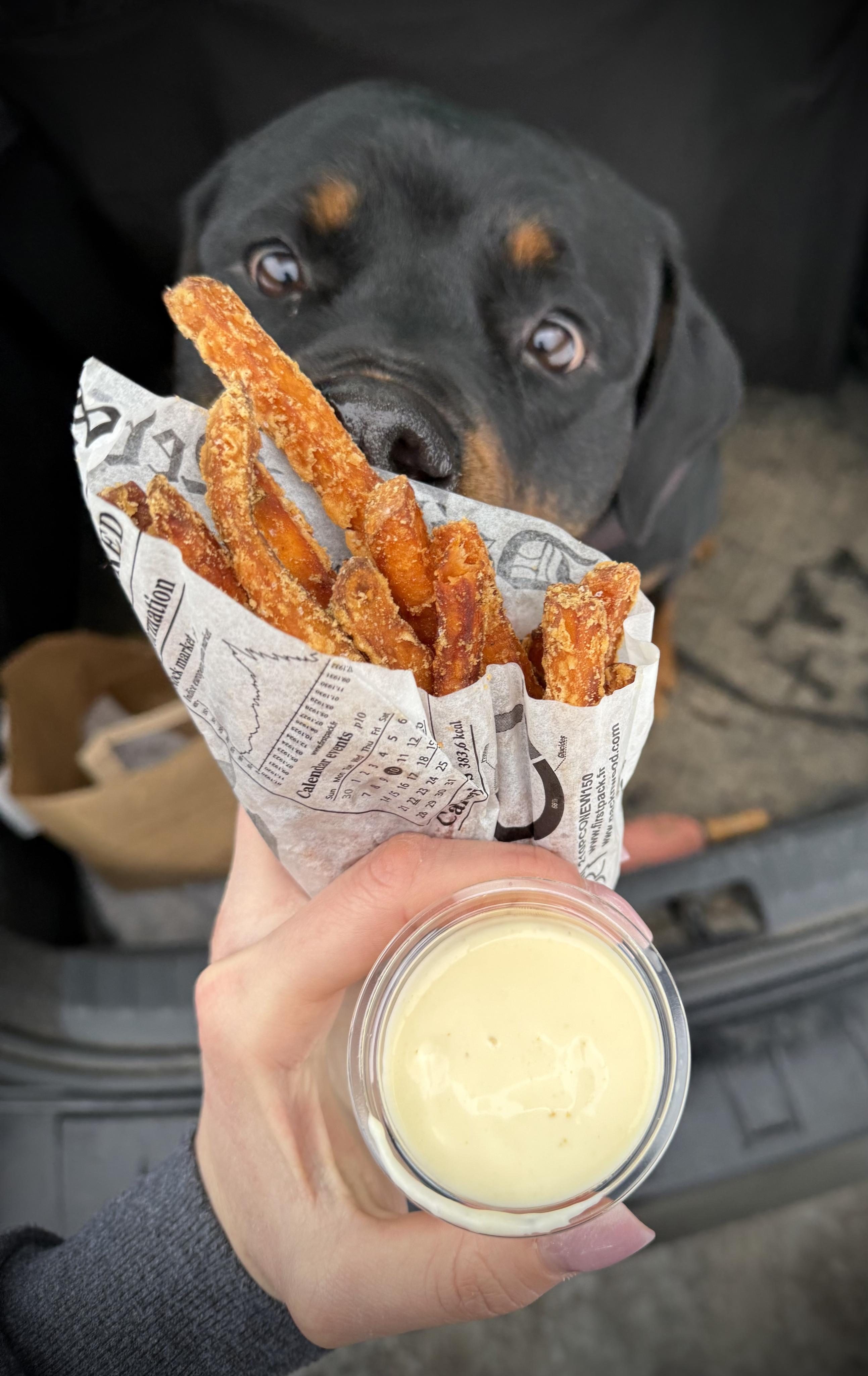 Bravo bistro Rozvoz foto 2