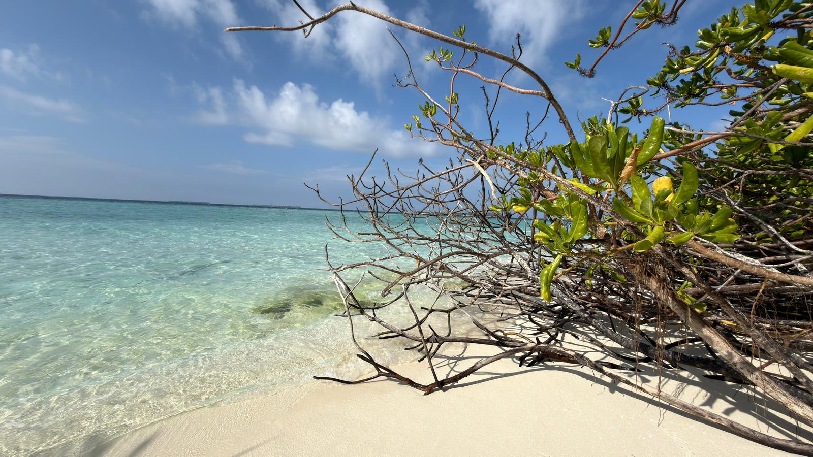 DOVOLENÁ SNŮ s.r.o. foto 5