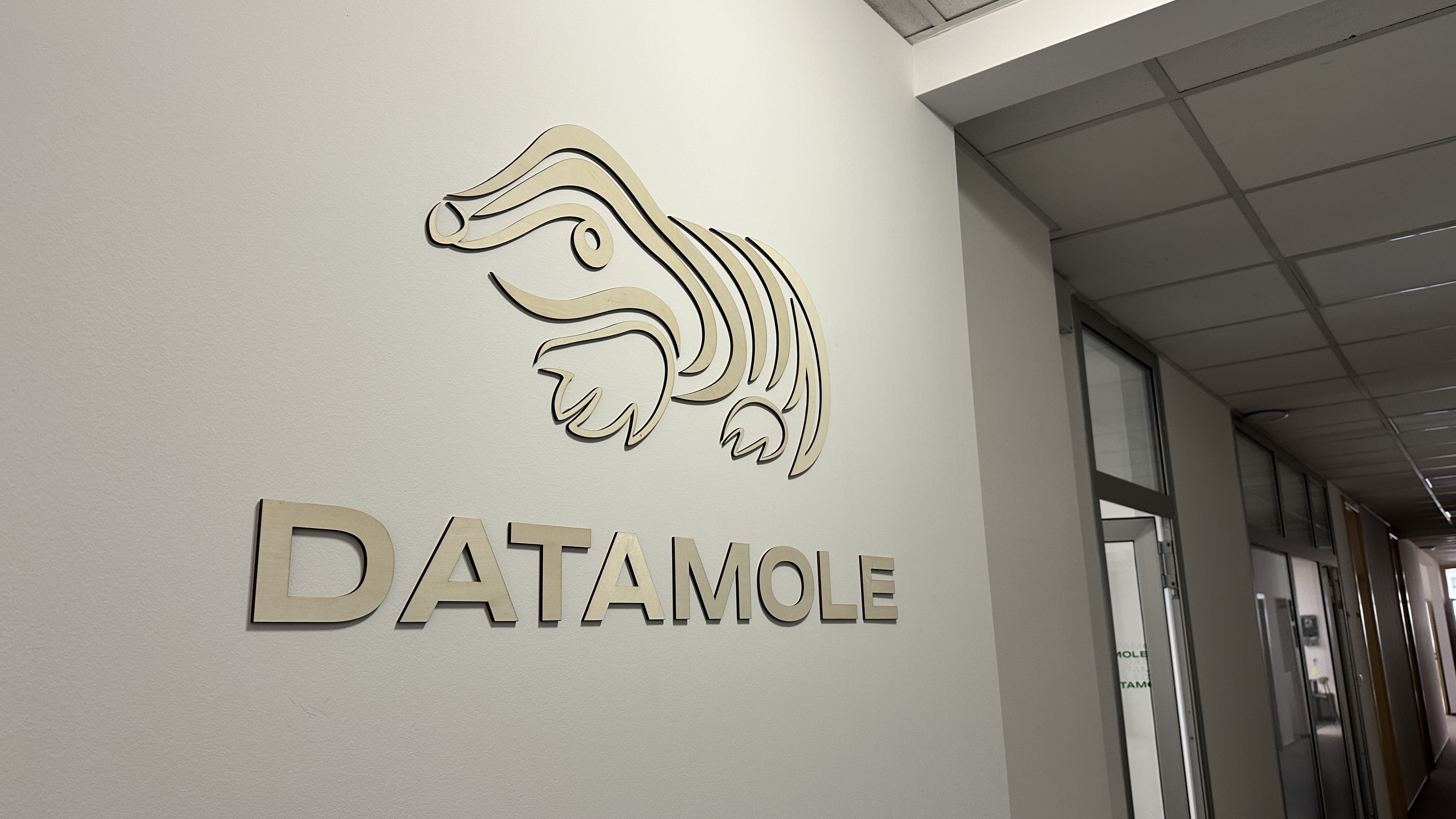 Datamole foto 6