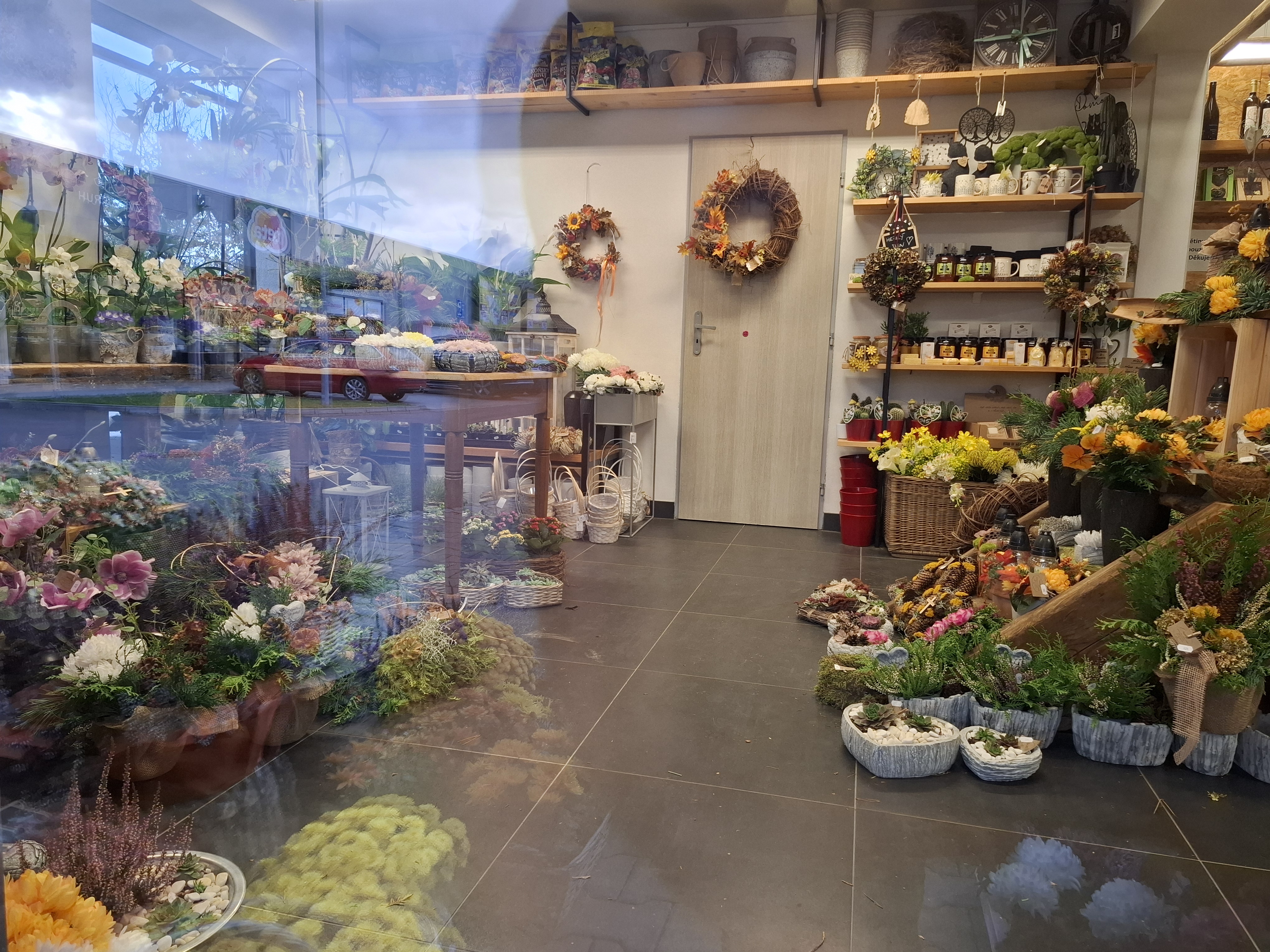 Pěkné kvítko foto 5