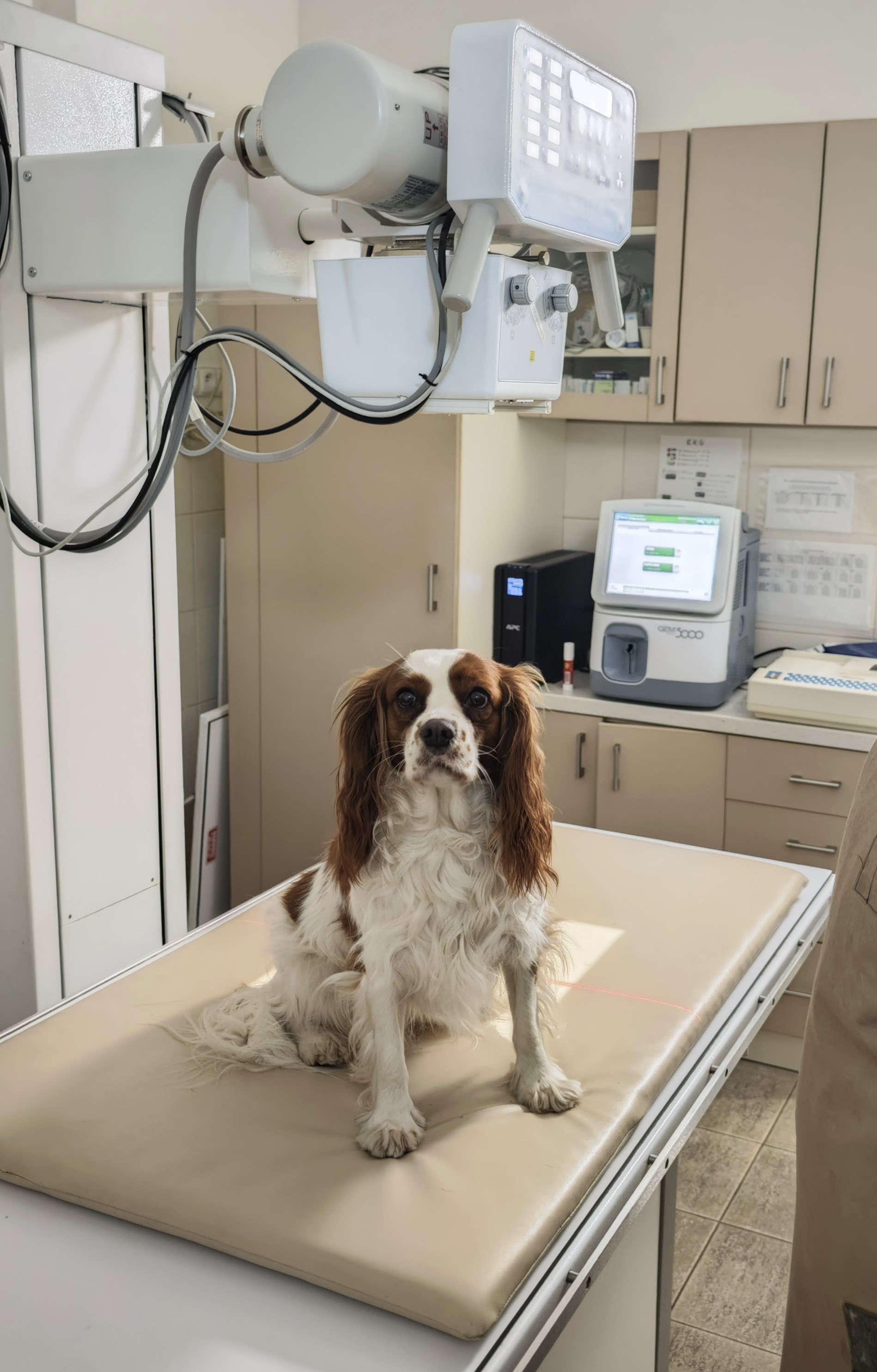Veterinární nemocnice AA-Vet foto 3