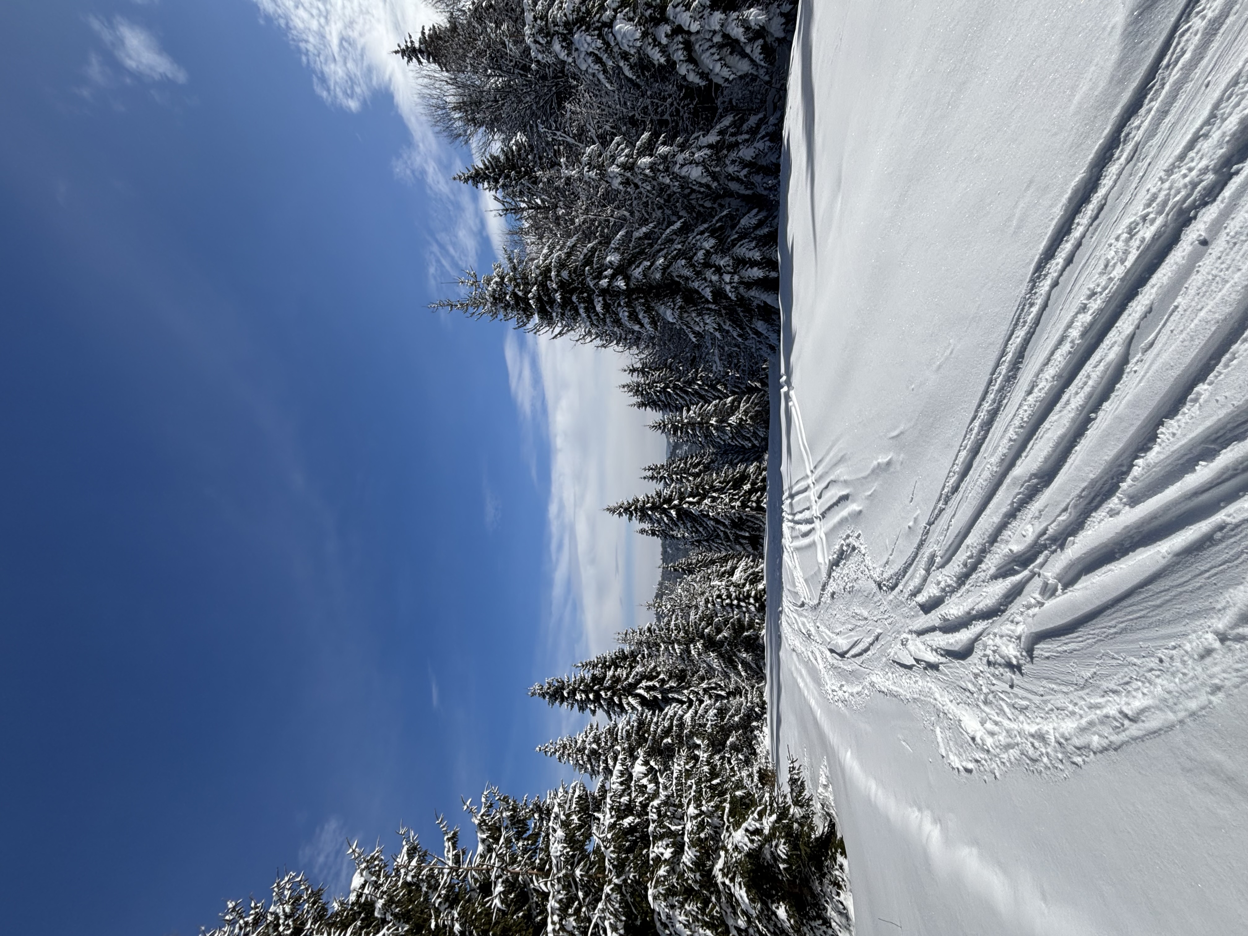 Lyžařský areál České Žleby foto 3