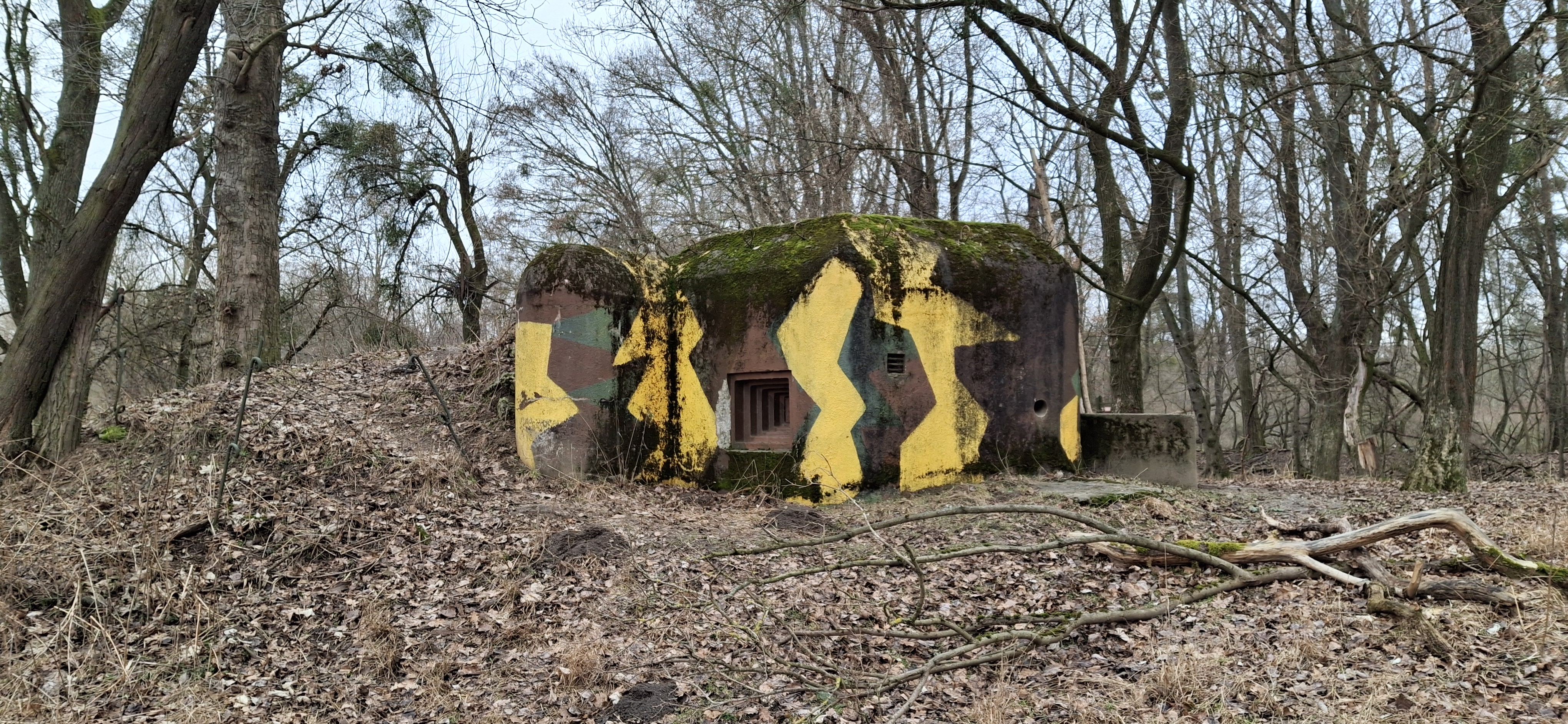 Muzeum lehkého opevnění na Pohansku foto 5
