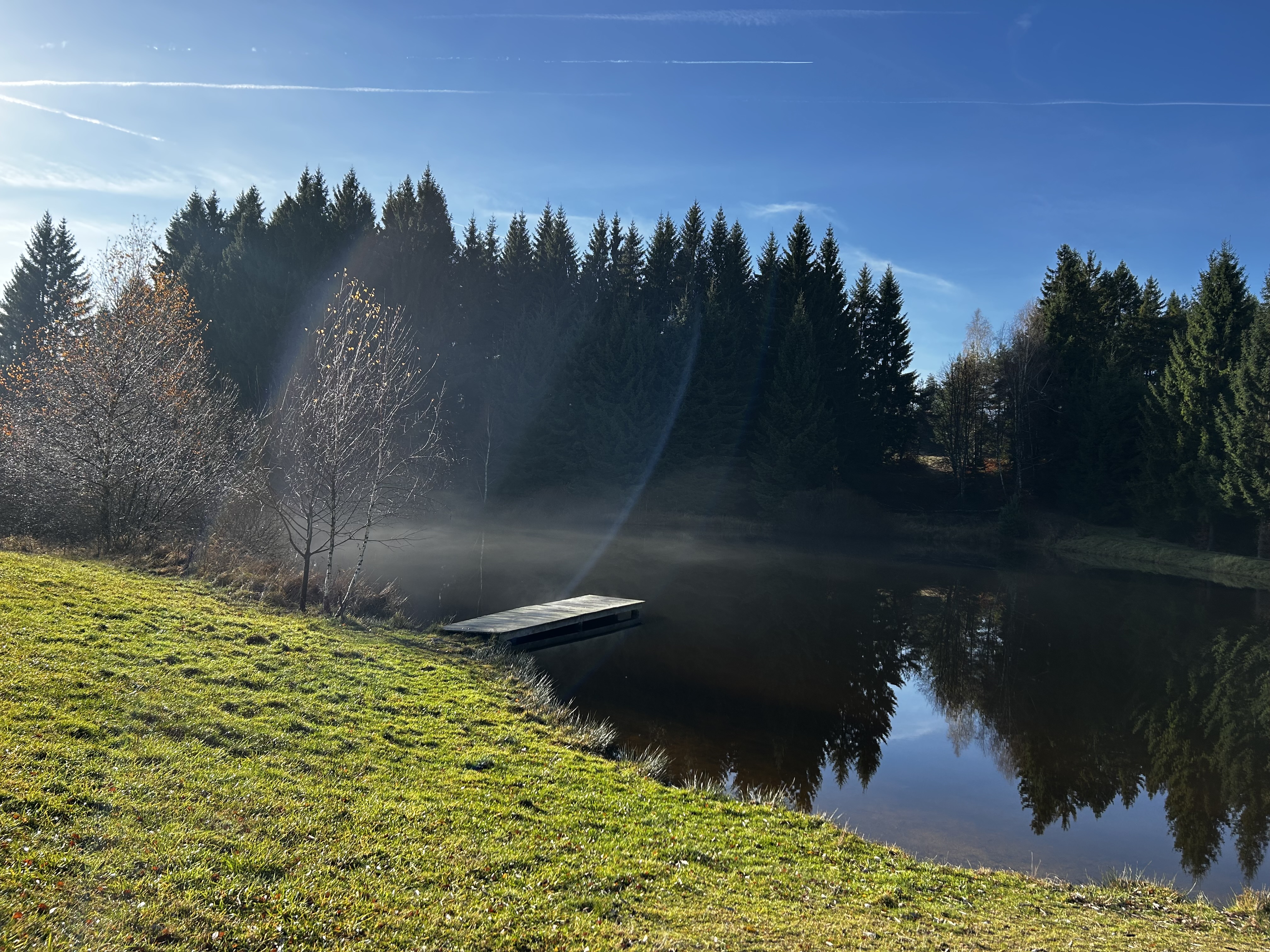 Ubytování U panského lesa foto 4