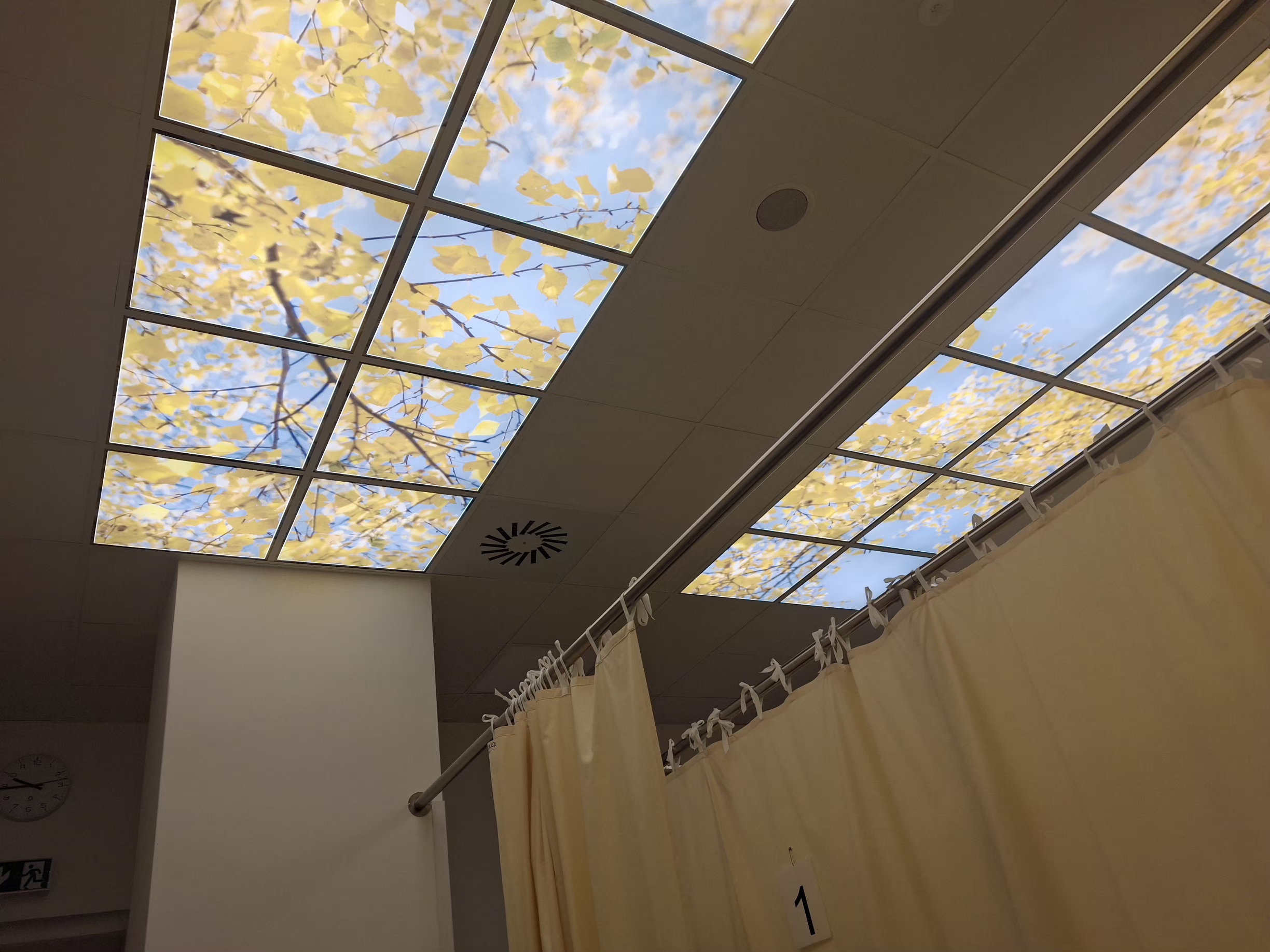 Fyzioterapie - Poliklinika Nemocnice Vyškov foto 4