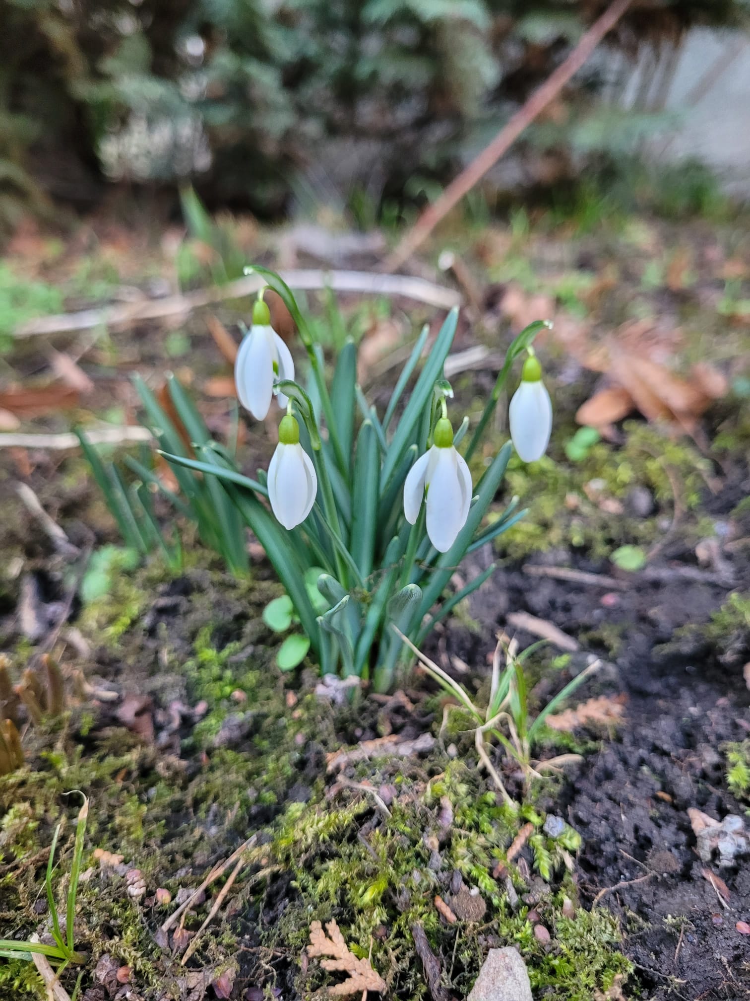 Unilabs (AeskuLab) - odběry krve foto 2