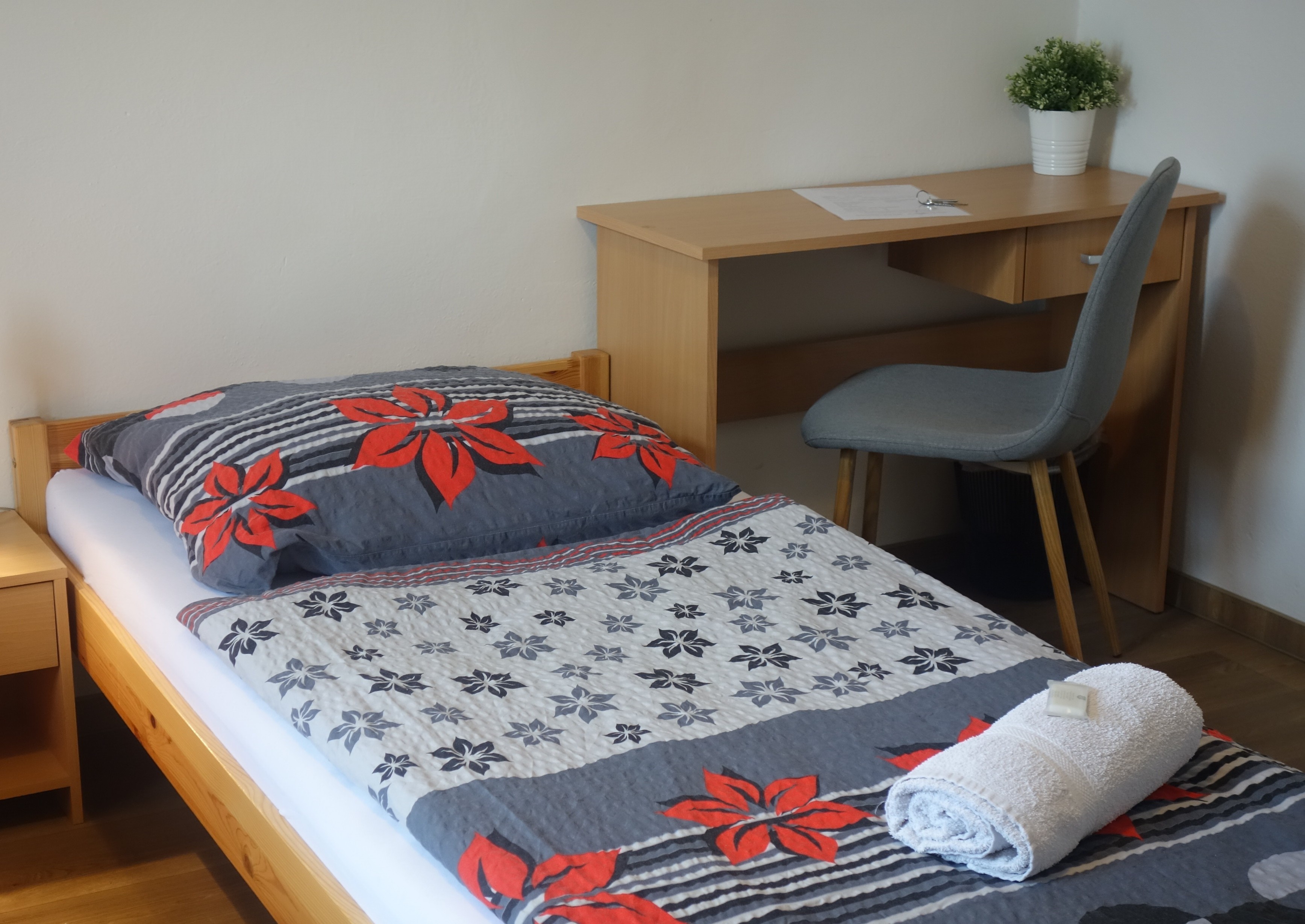 BED & BREAKFAST penzion Brno foto 5