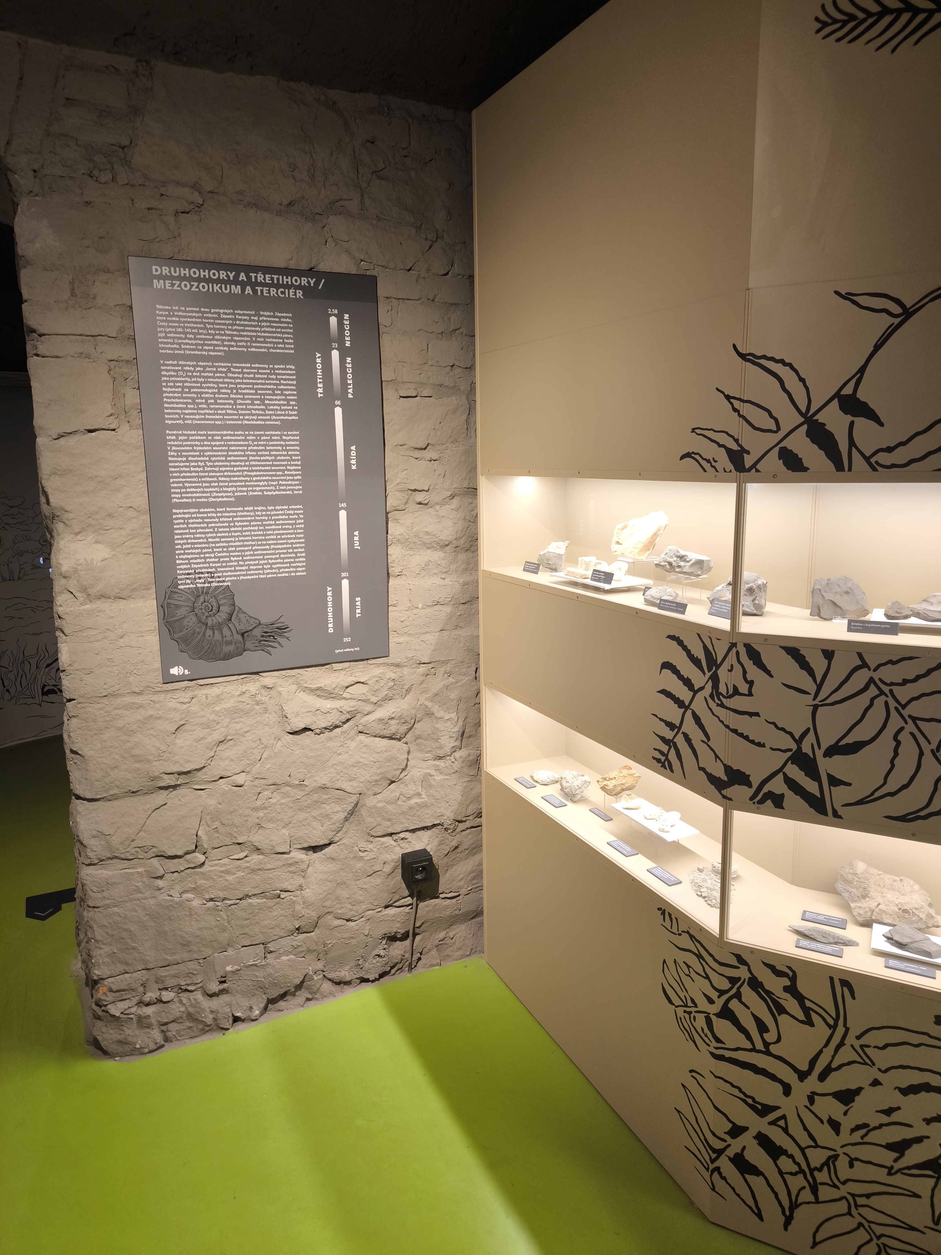 Muzeum Těšínska foto 5