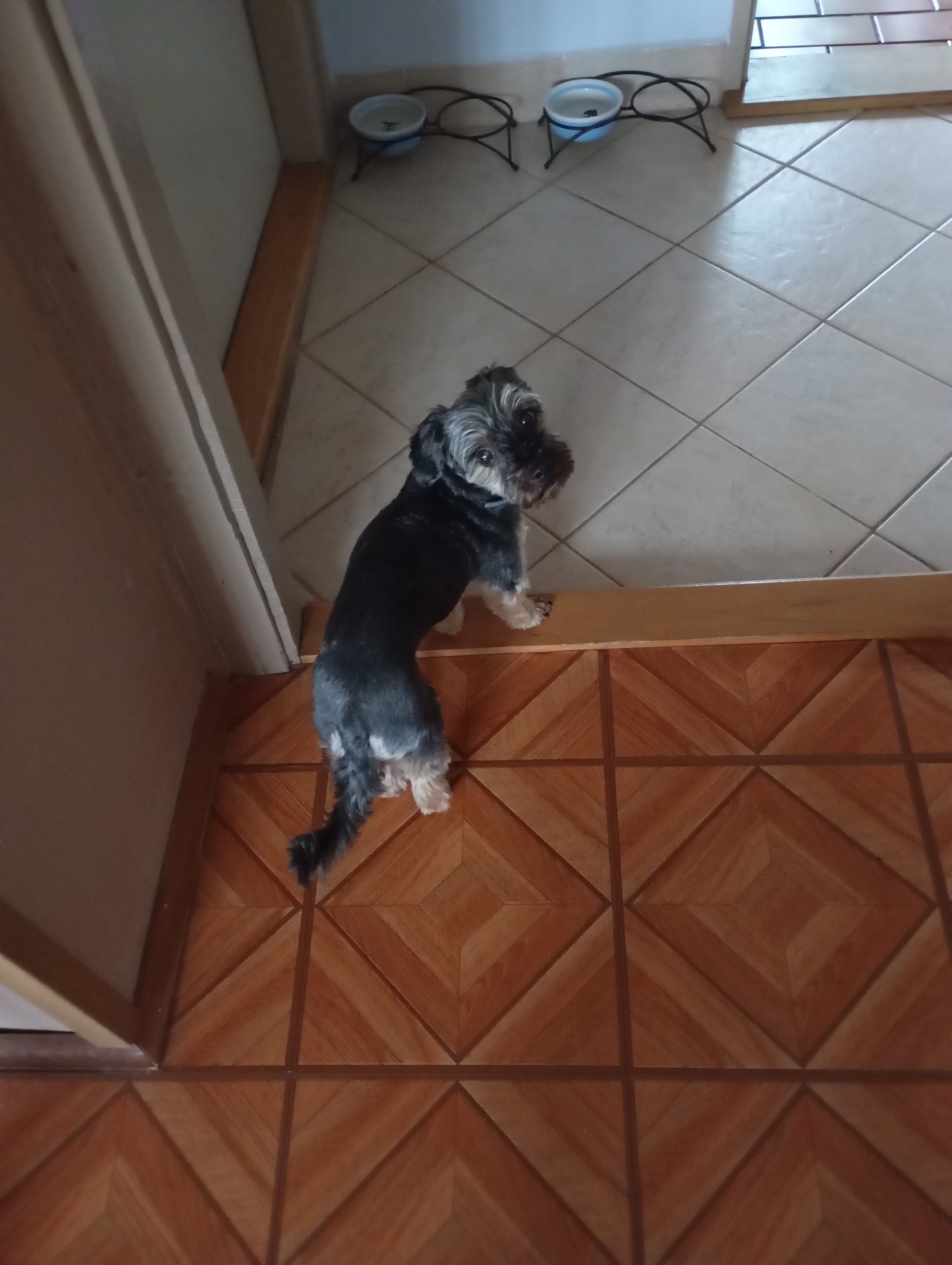 Veterinární klinika Poděbradská foto 3