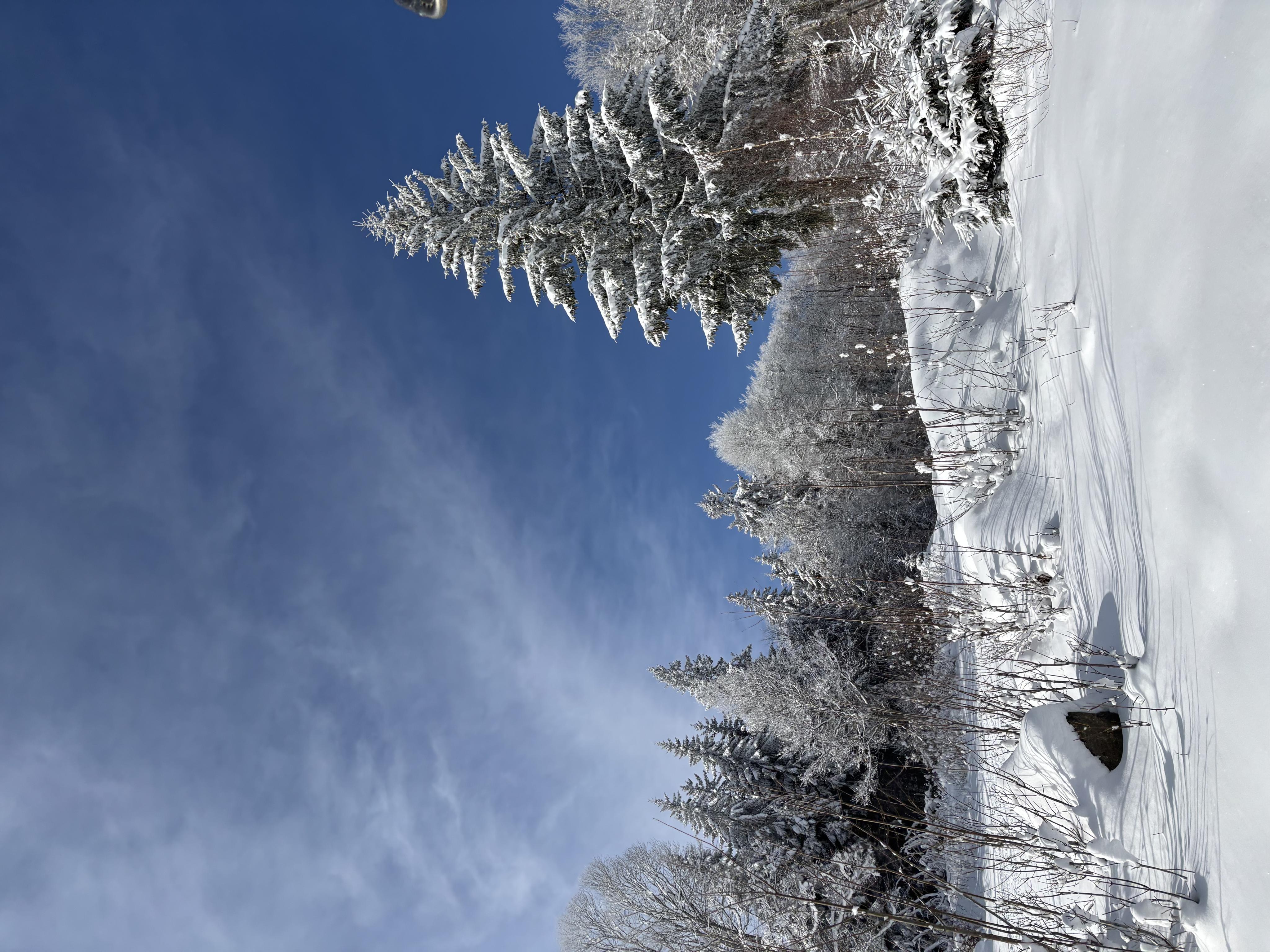 Lyžařský areál České Žleby foto 2
