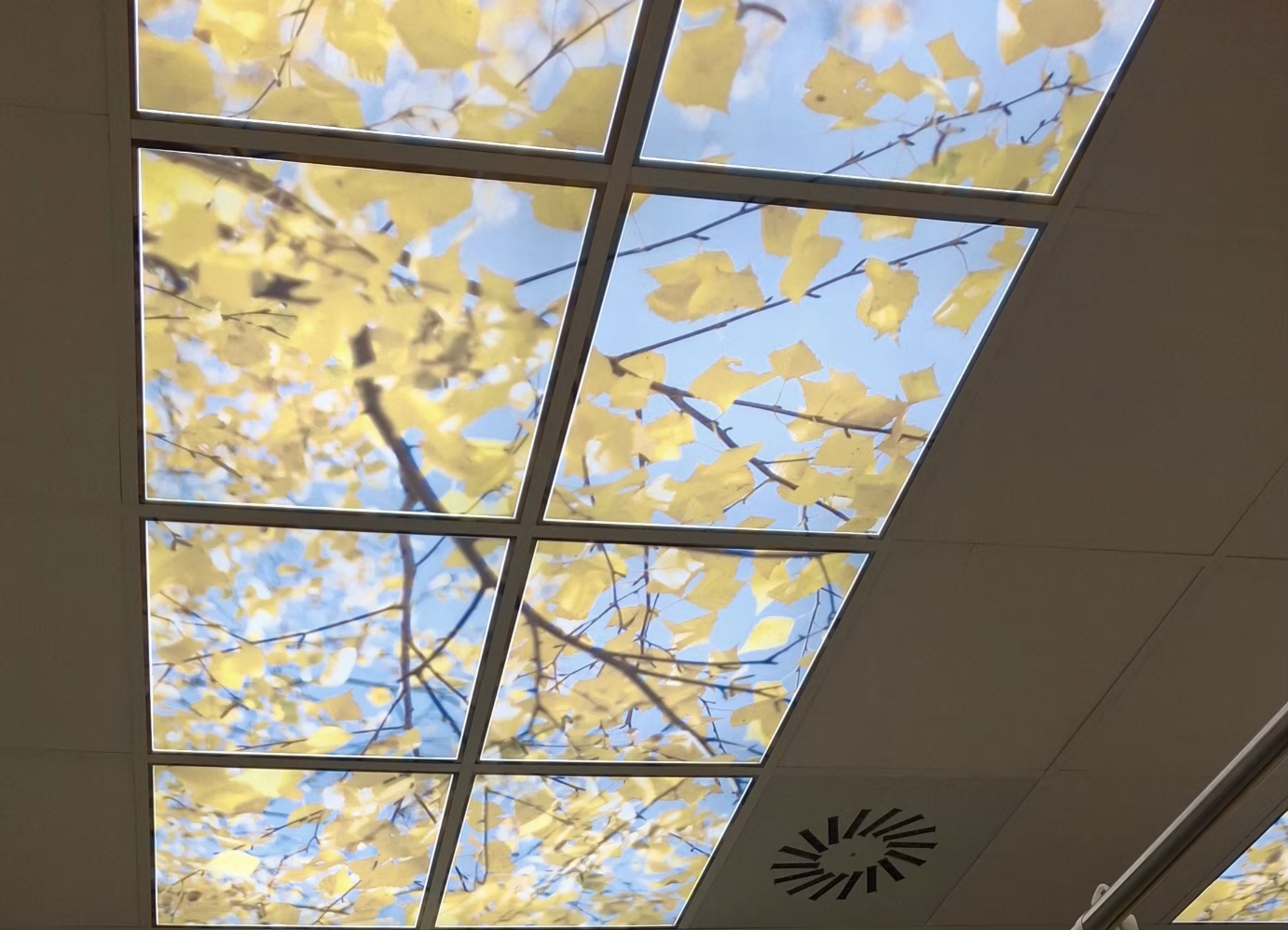 Fyzioterapie - Poliklinika Nemocnice Vyškov foto 5