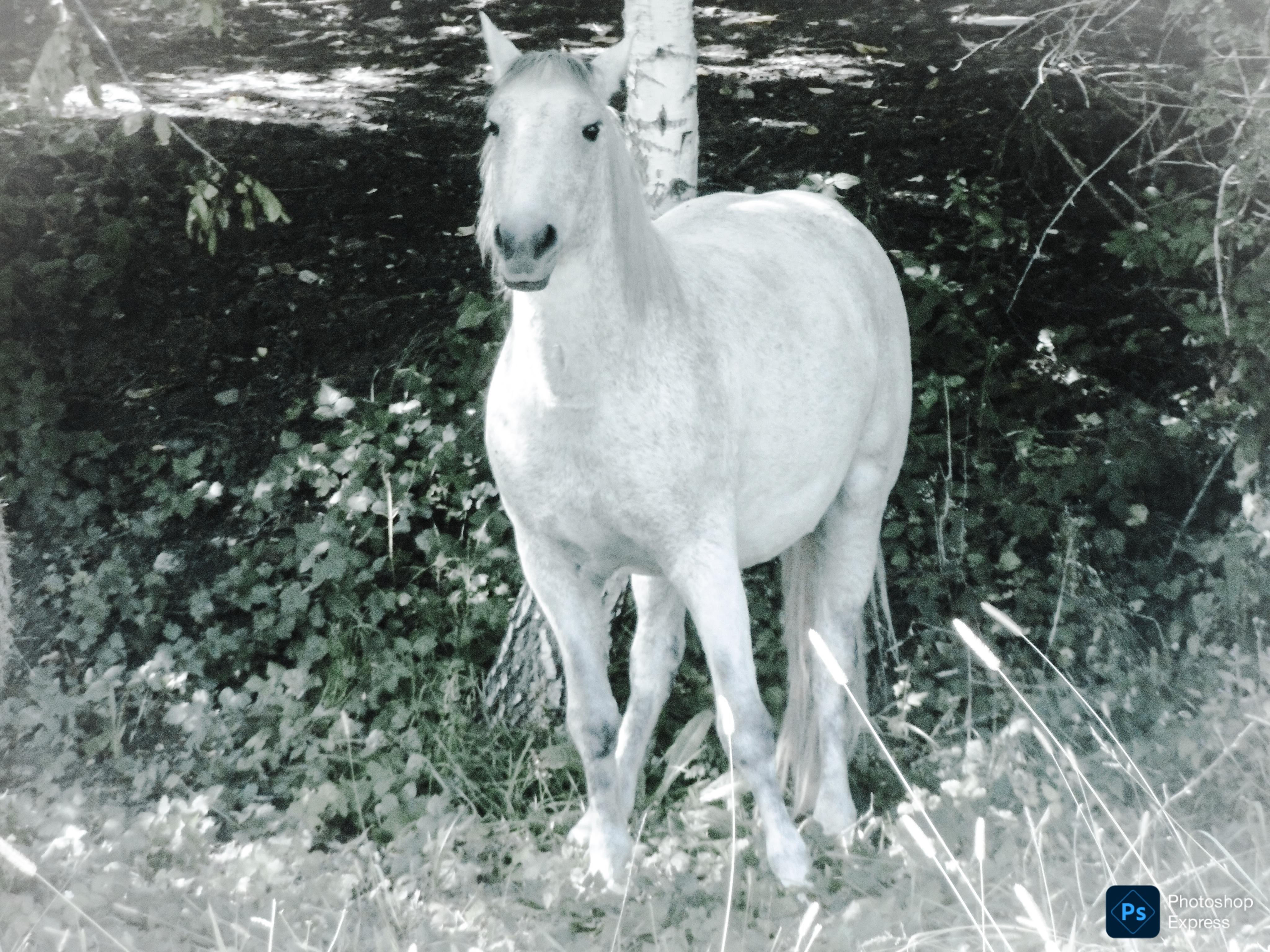 JK Počin foto 5