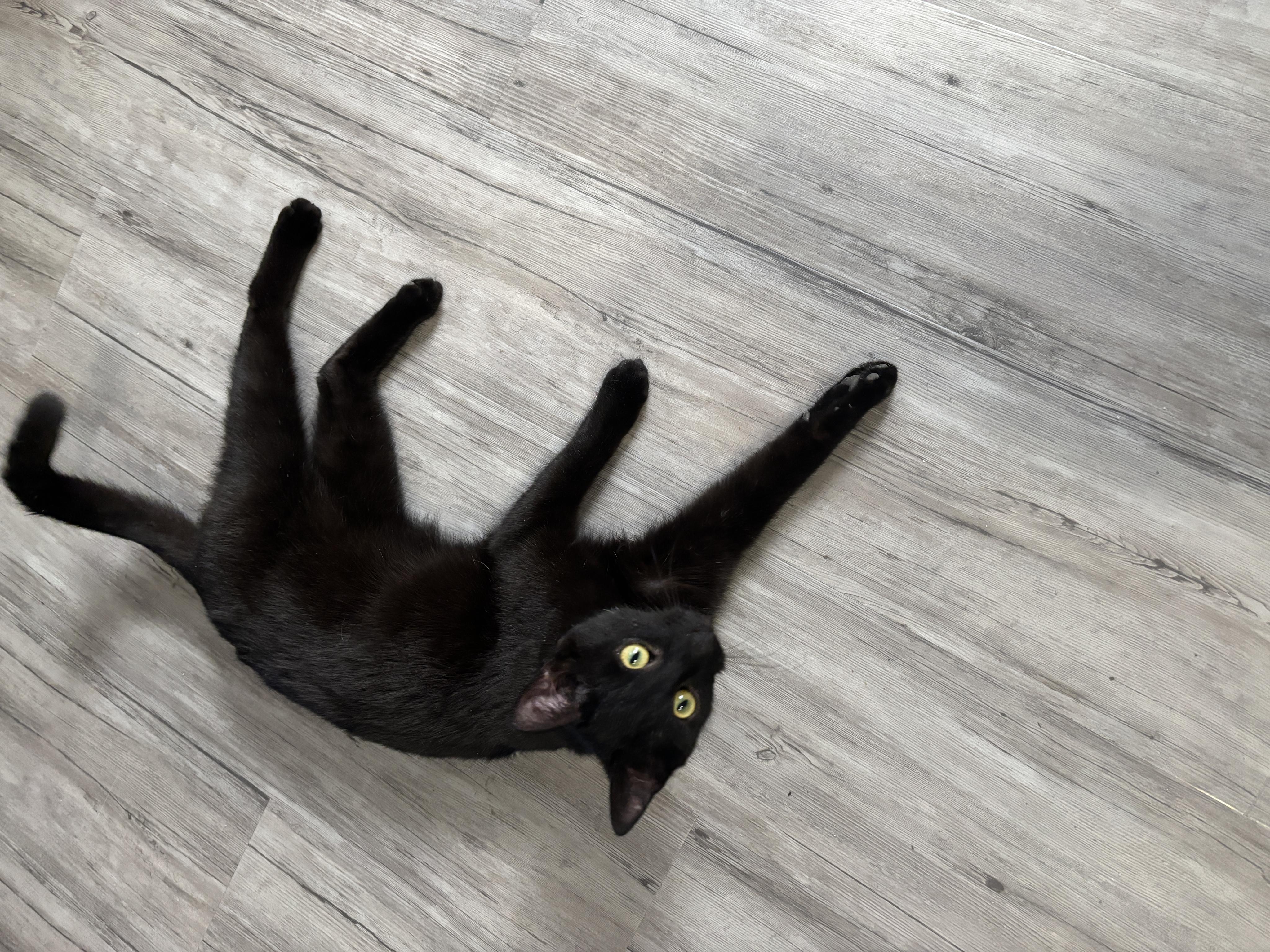 Petr Lukeš - podlahyjakchcete.cz foto 5