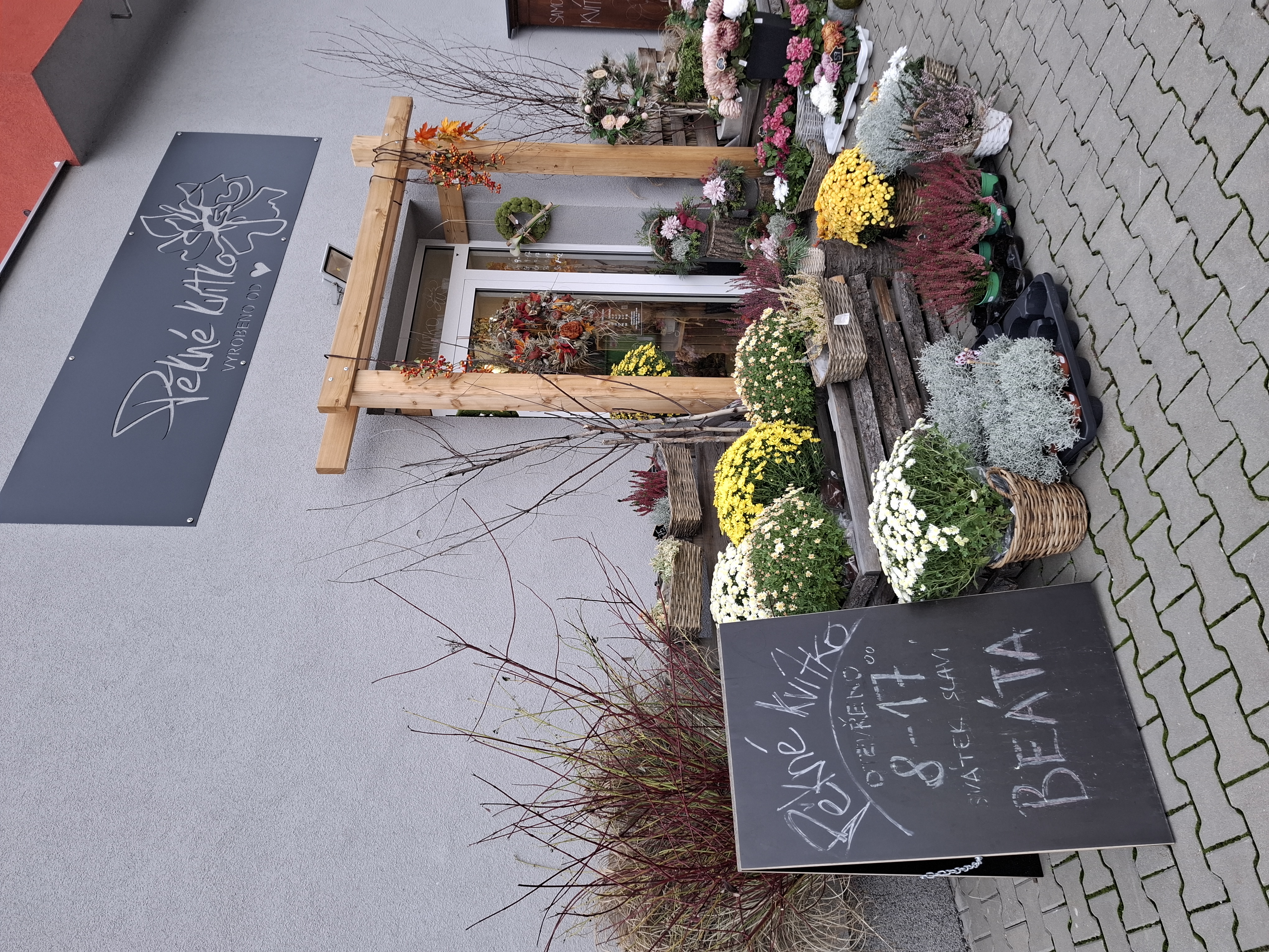 Pěkné kvítko foto 5