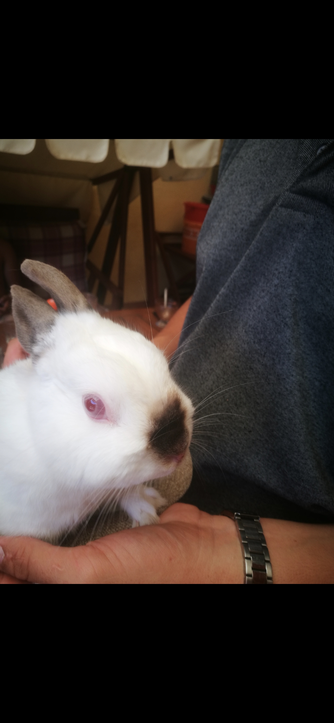 Ubytování Školní 23/46 foto 2