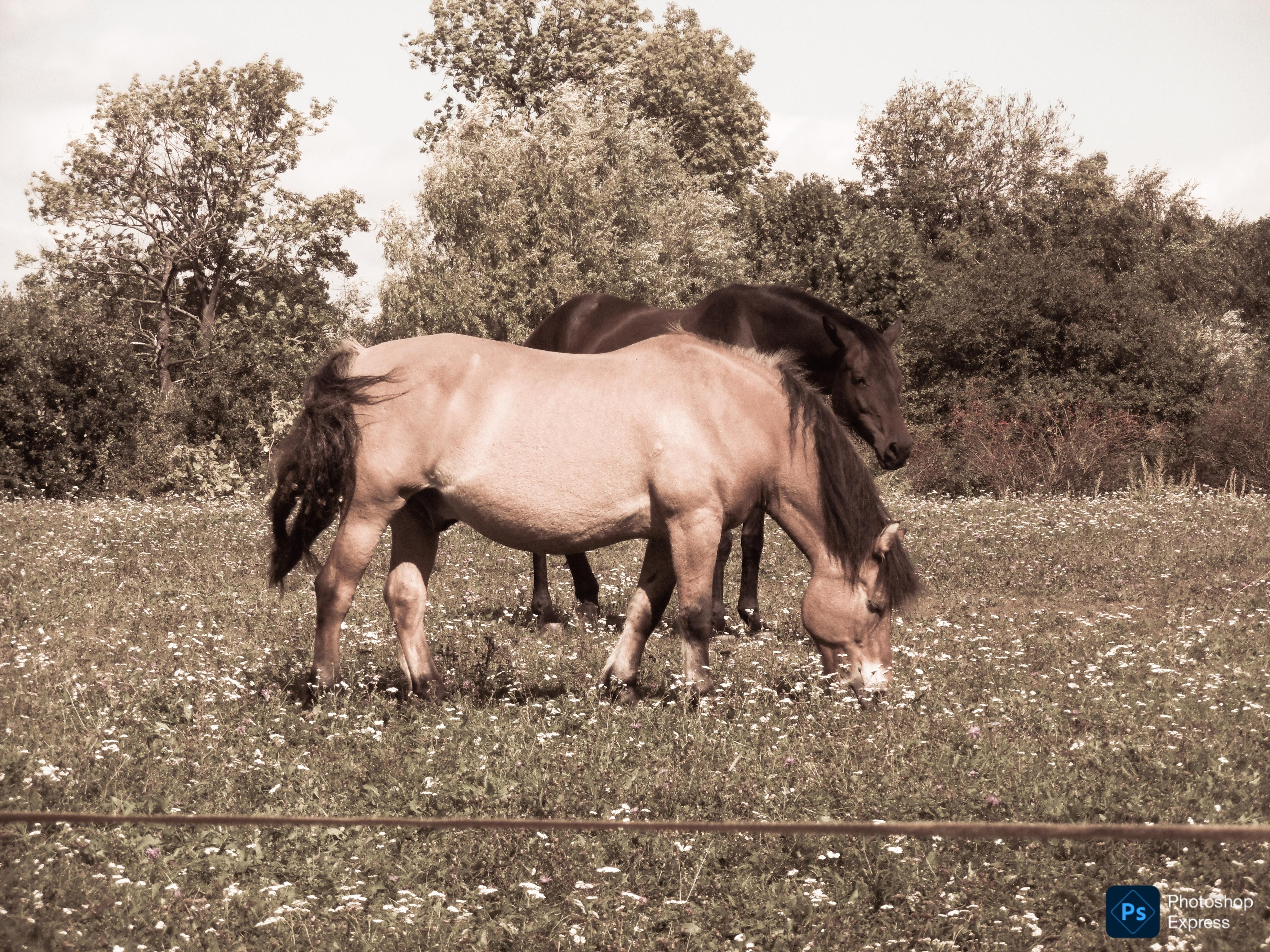 JK Počin foto 4