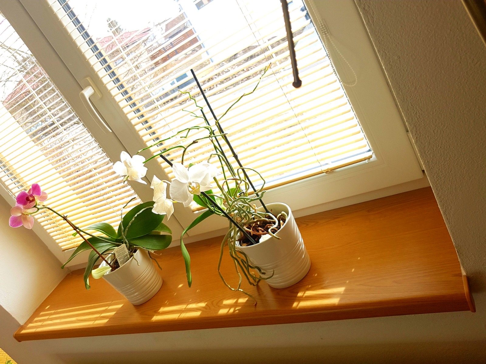 SERVIS OKEN BRNO | Daniel Sypták foto 5