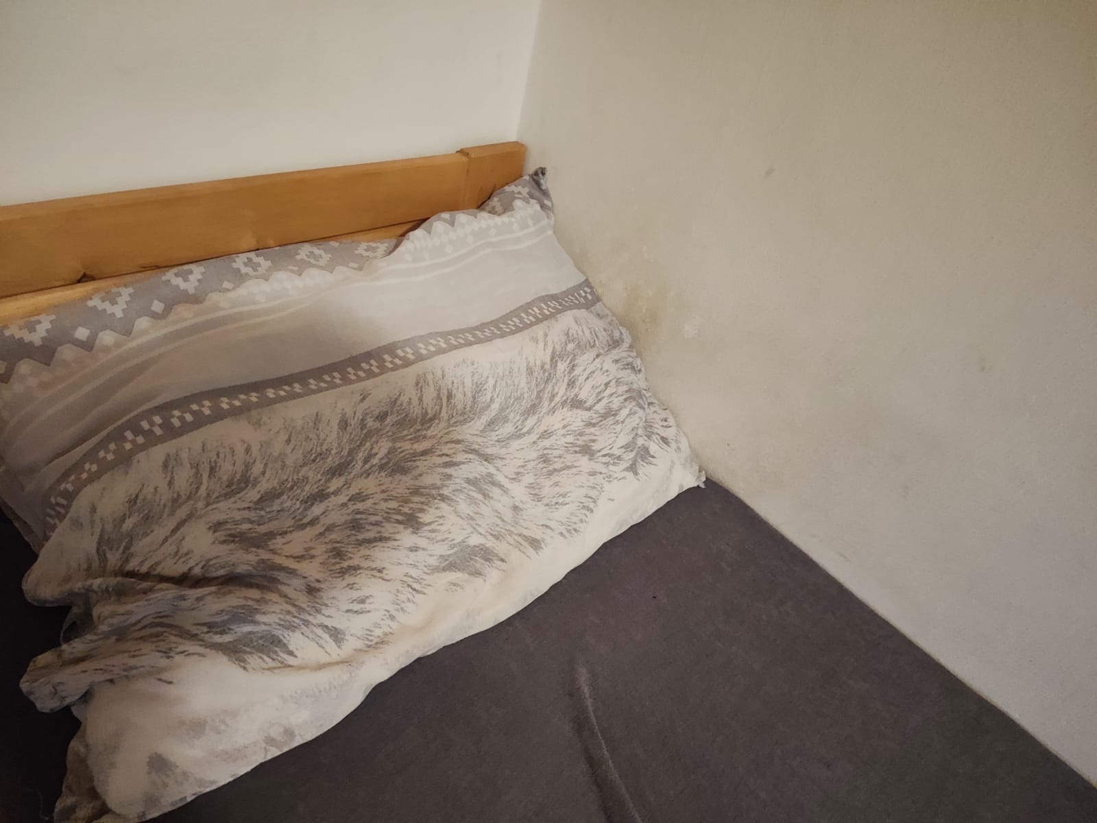 Penzion U Vondráčků foto 6