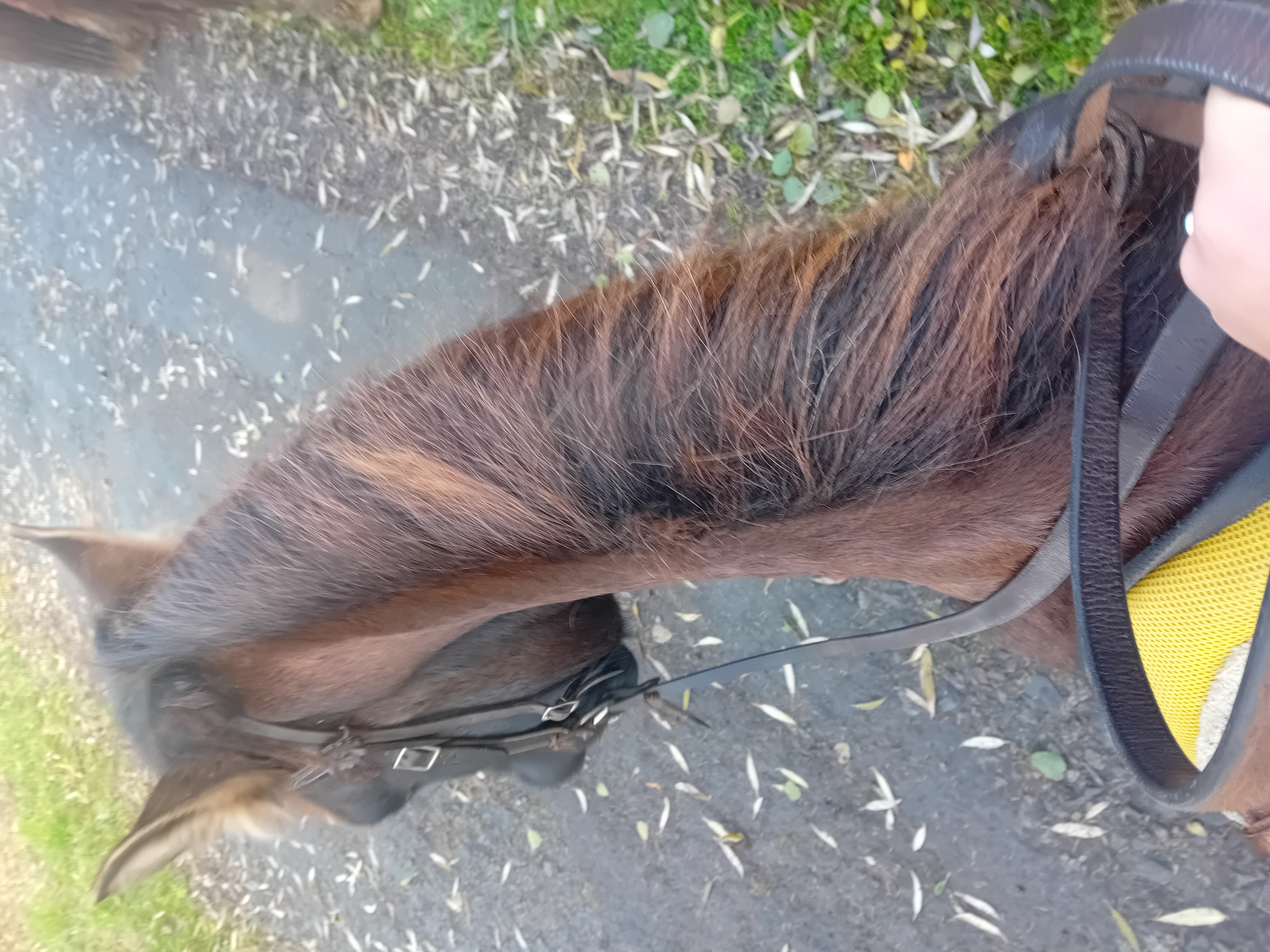 Eko Farma Karlovice foto 4