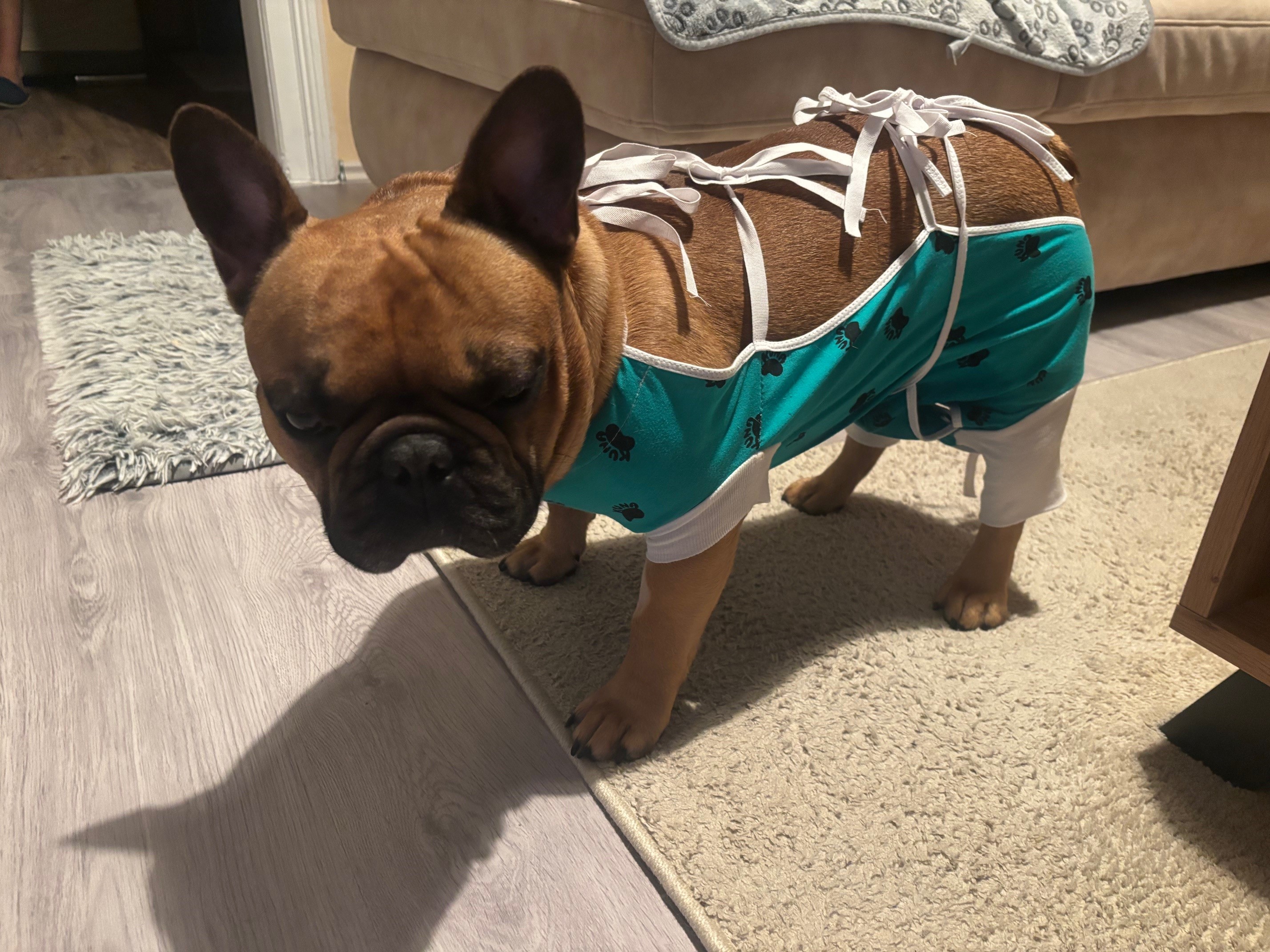 Veterinární klinika Mi-Vet foto 4