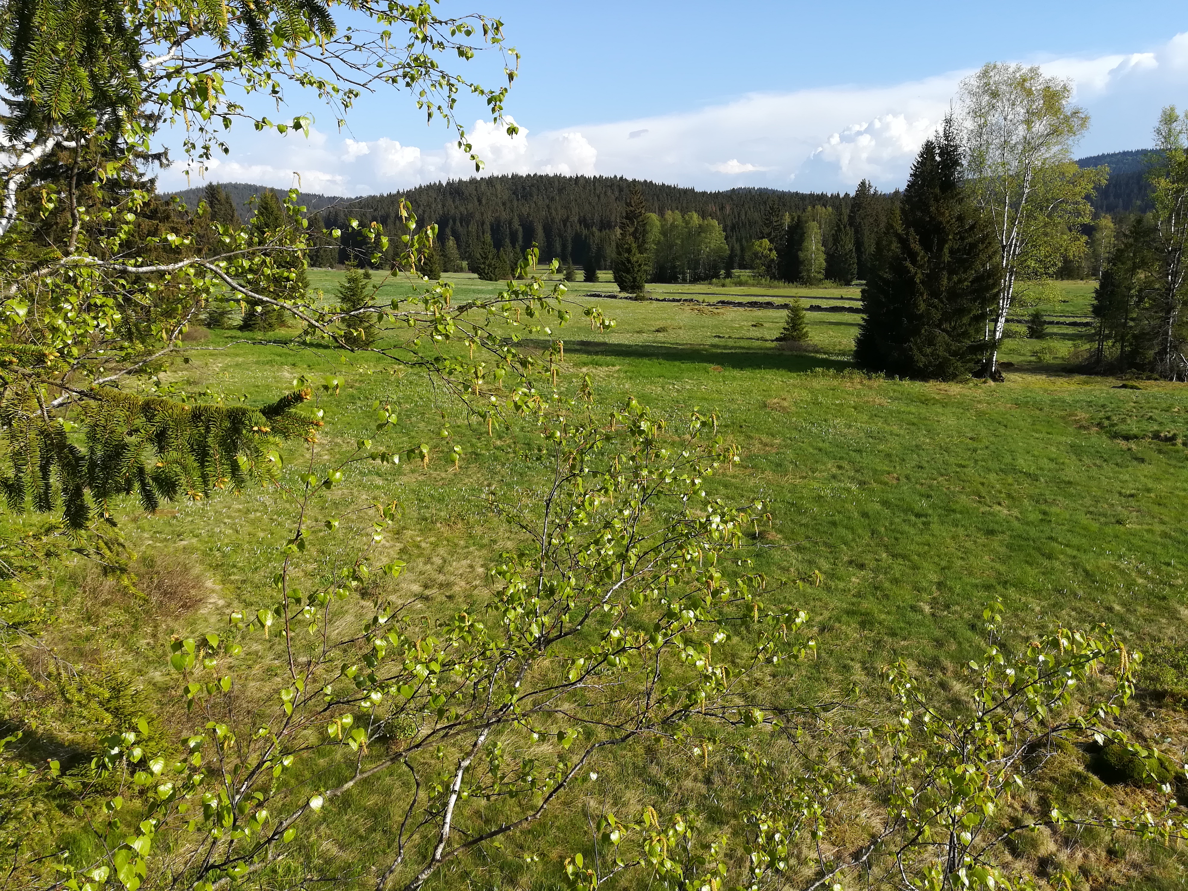 Stellplatz Dobrá na Šumavě foto 4