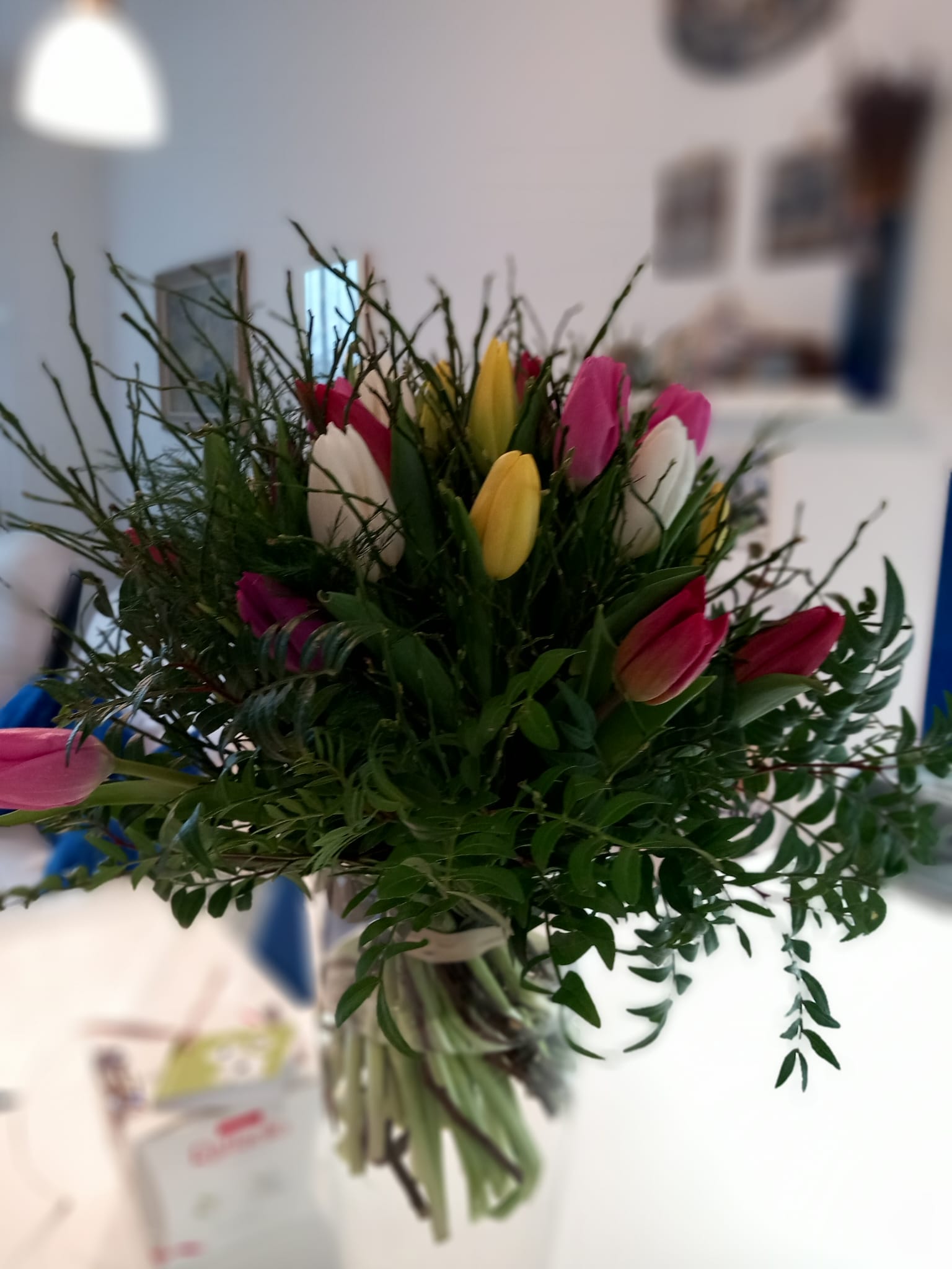 Květiny Anemos foto 5