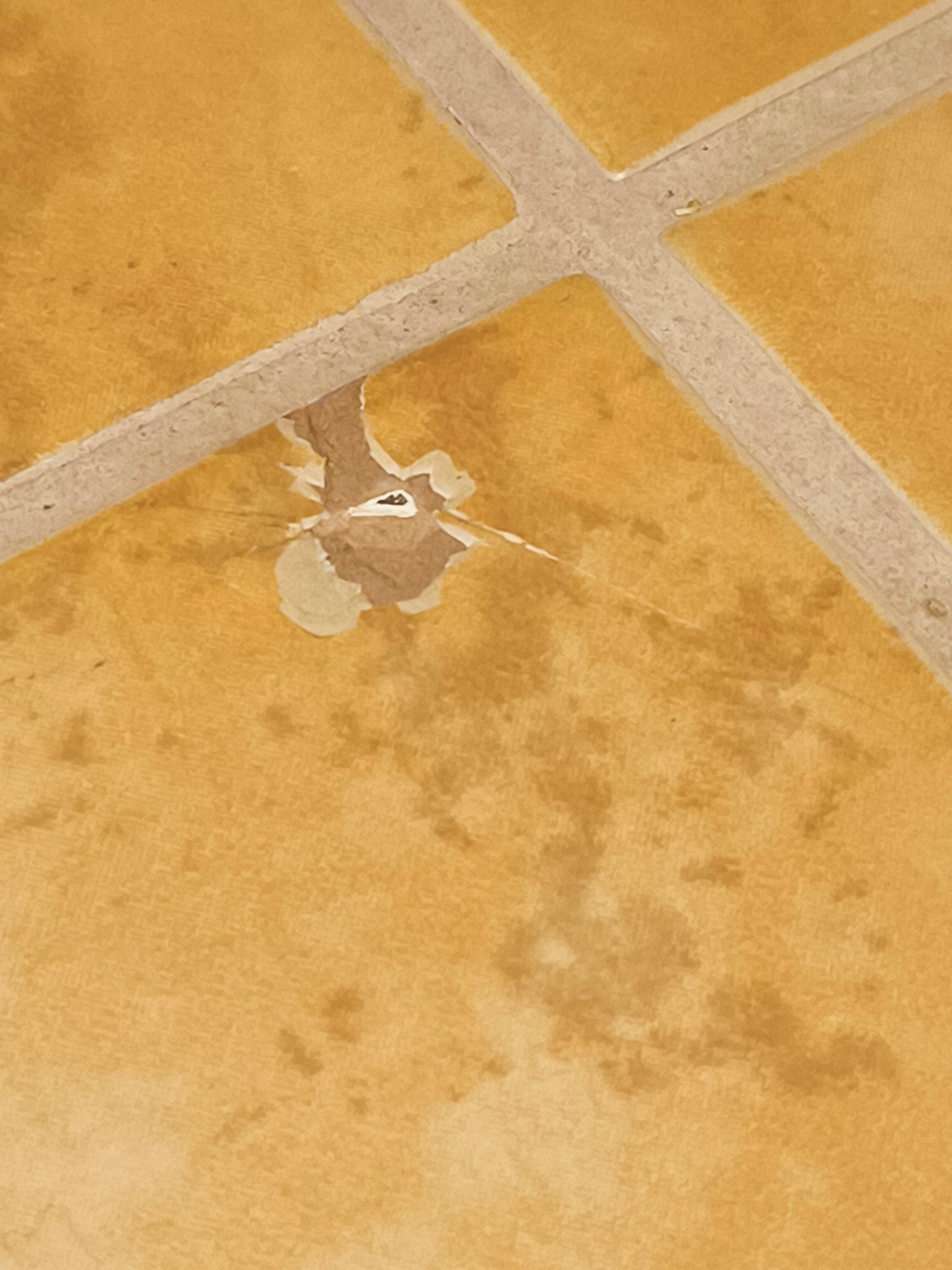 TECHPROFI HK, s.r.o. foto 5