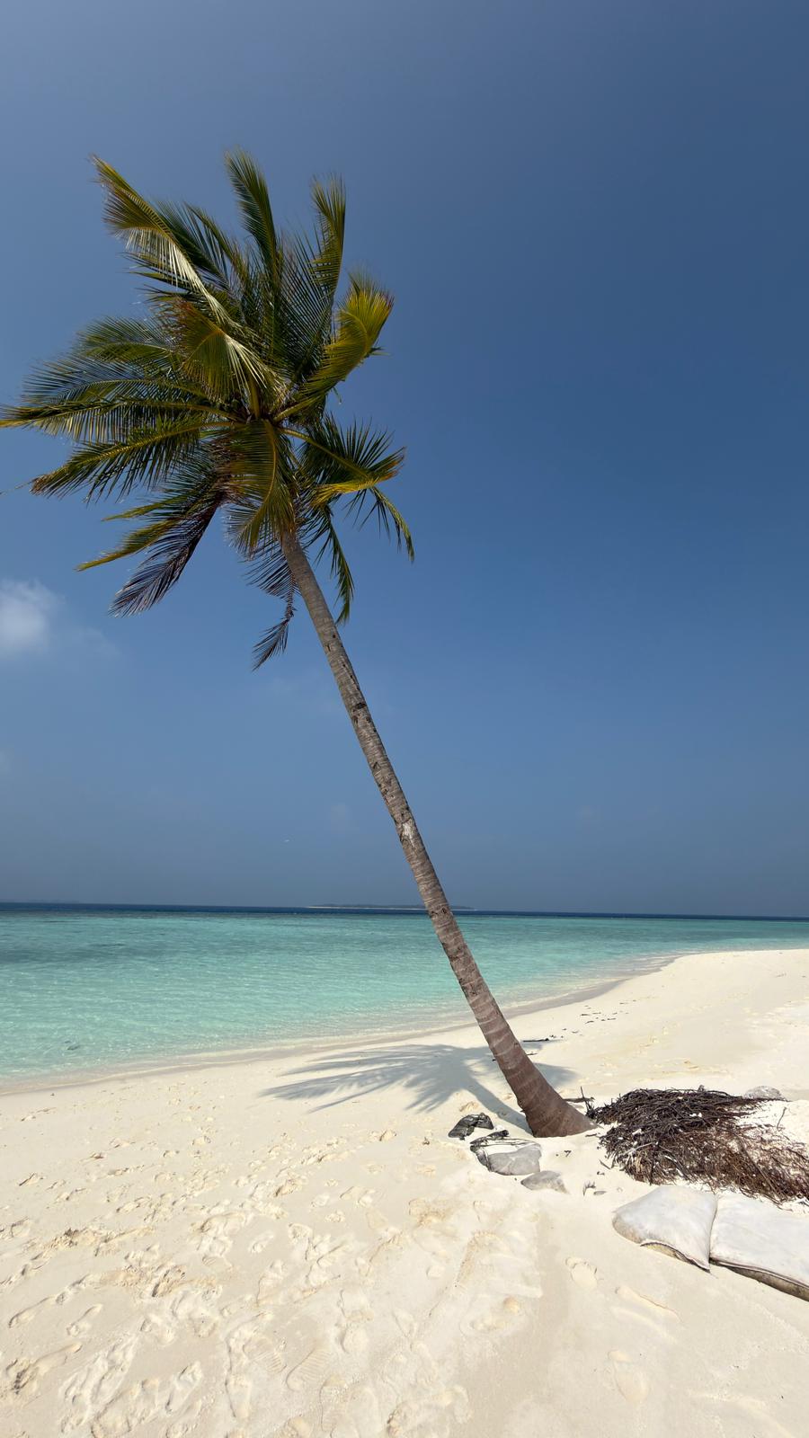 DOVOLENÁ SNŮ s.r.o. foto 3