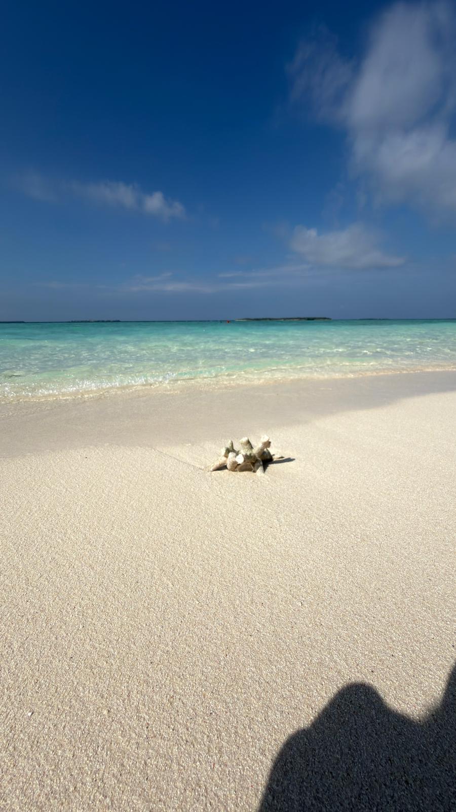 DOVOLENÁ SNŮ s.r.o. foto 2