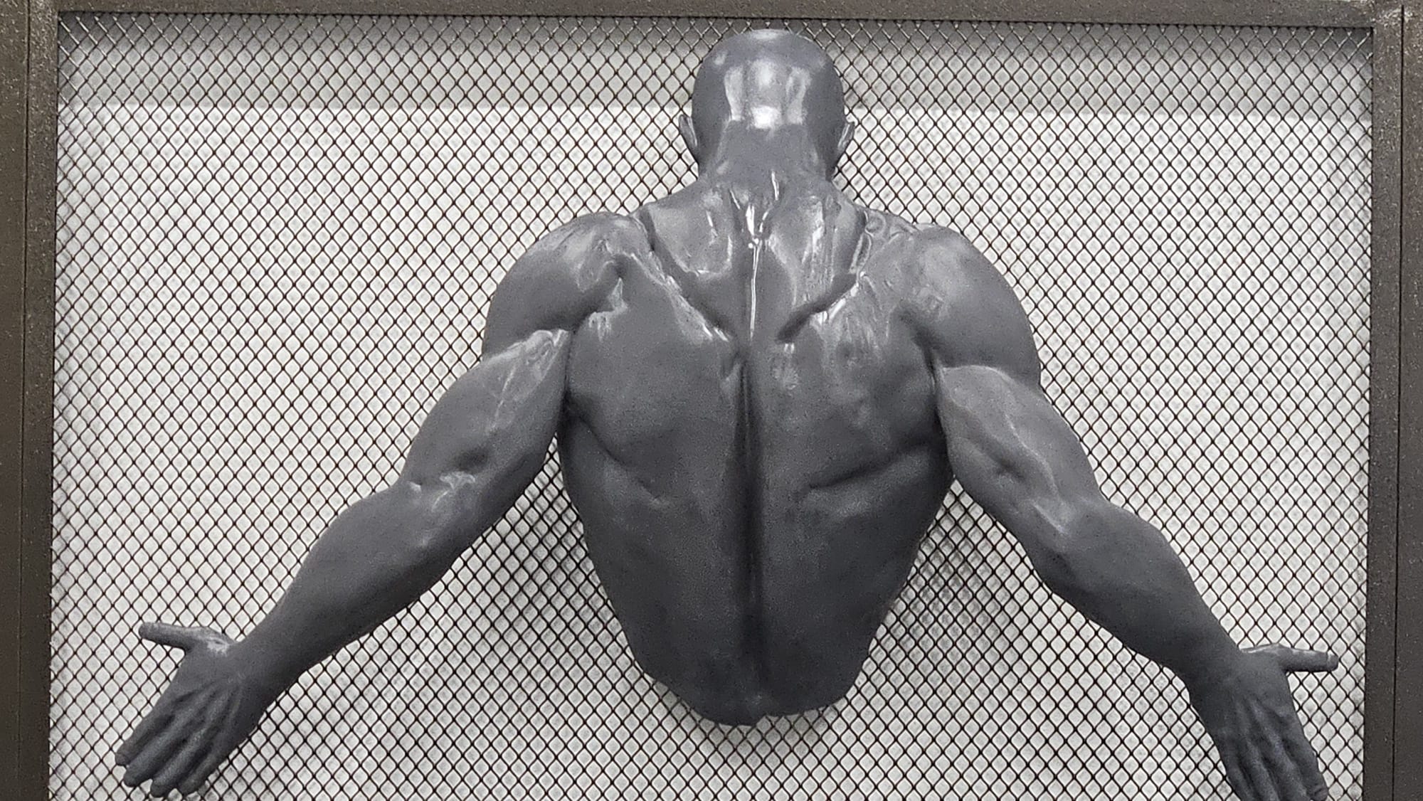 Alpha Gym foto 4