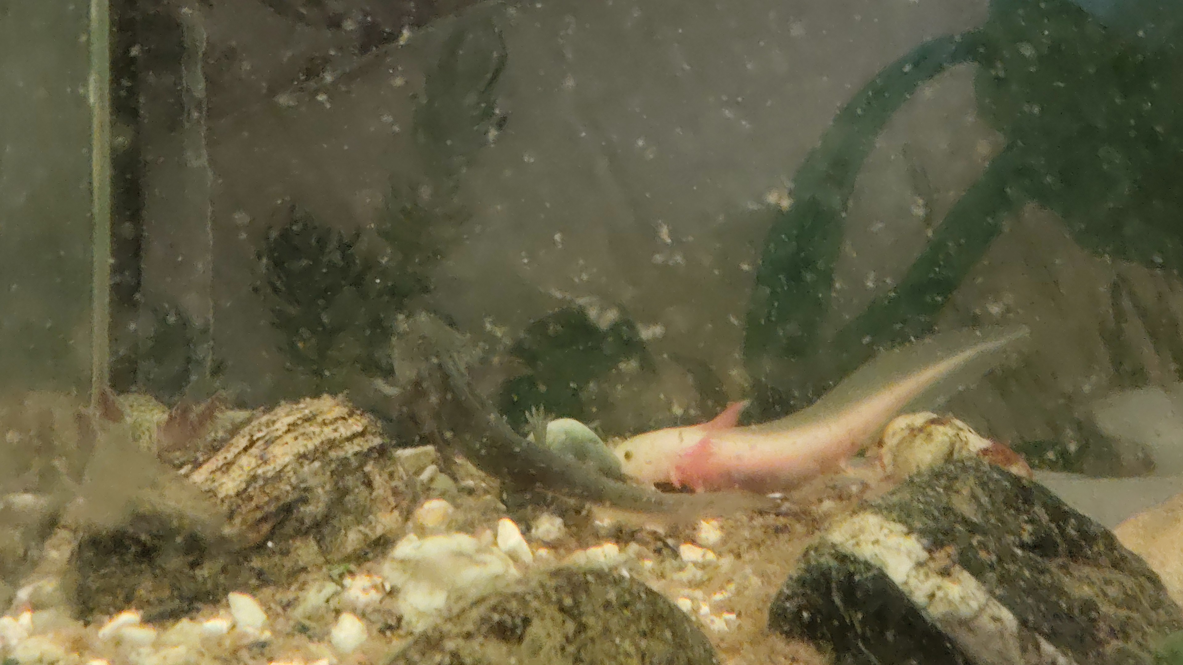 TETRA ZOOCENTRUM foto 4