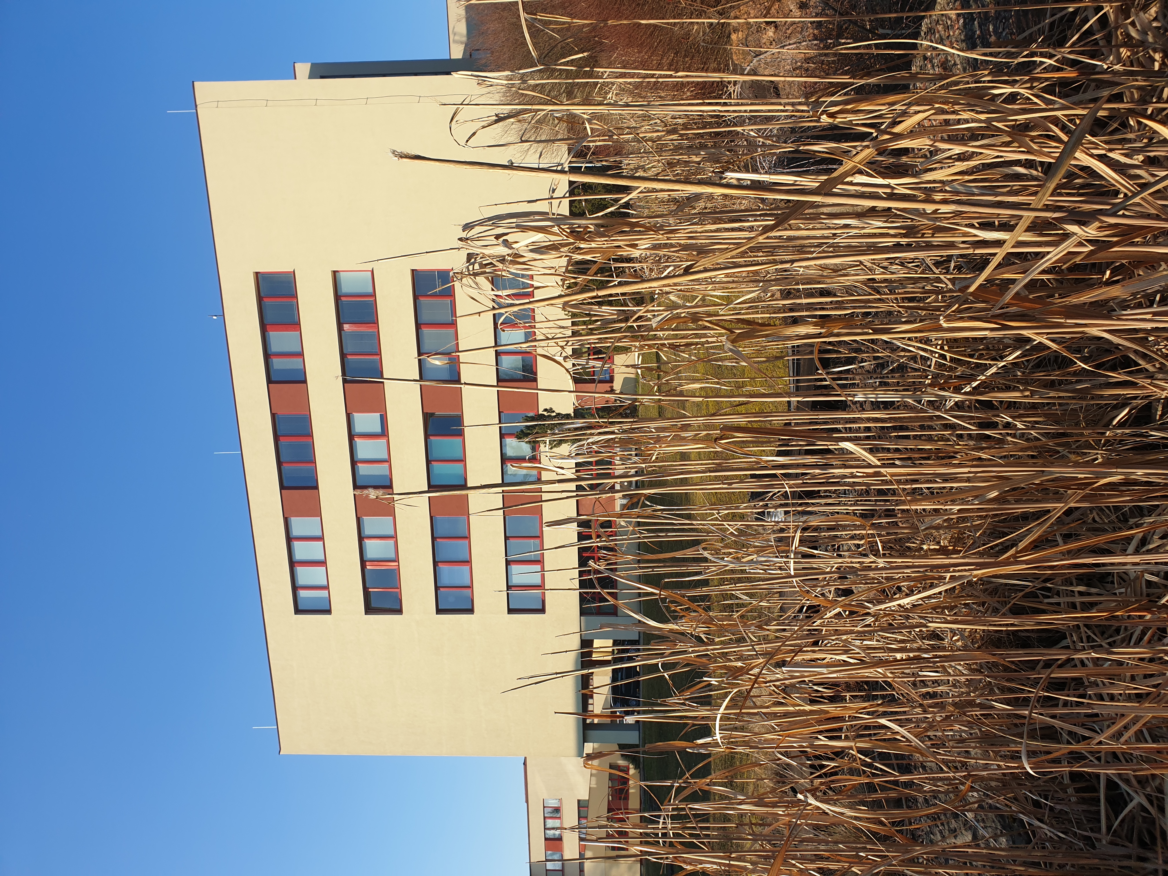 Gymnázium pro zrakově postižené Praha, Radlická foto 2