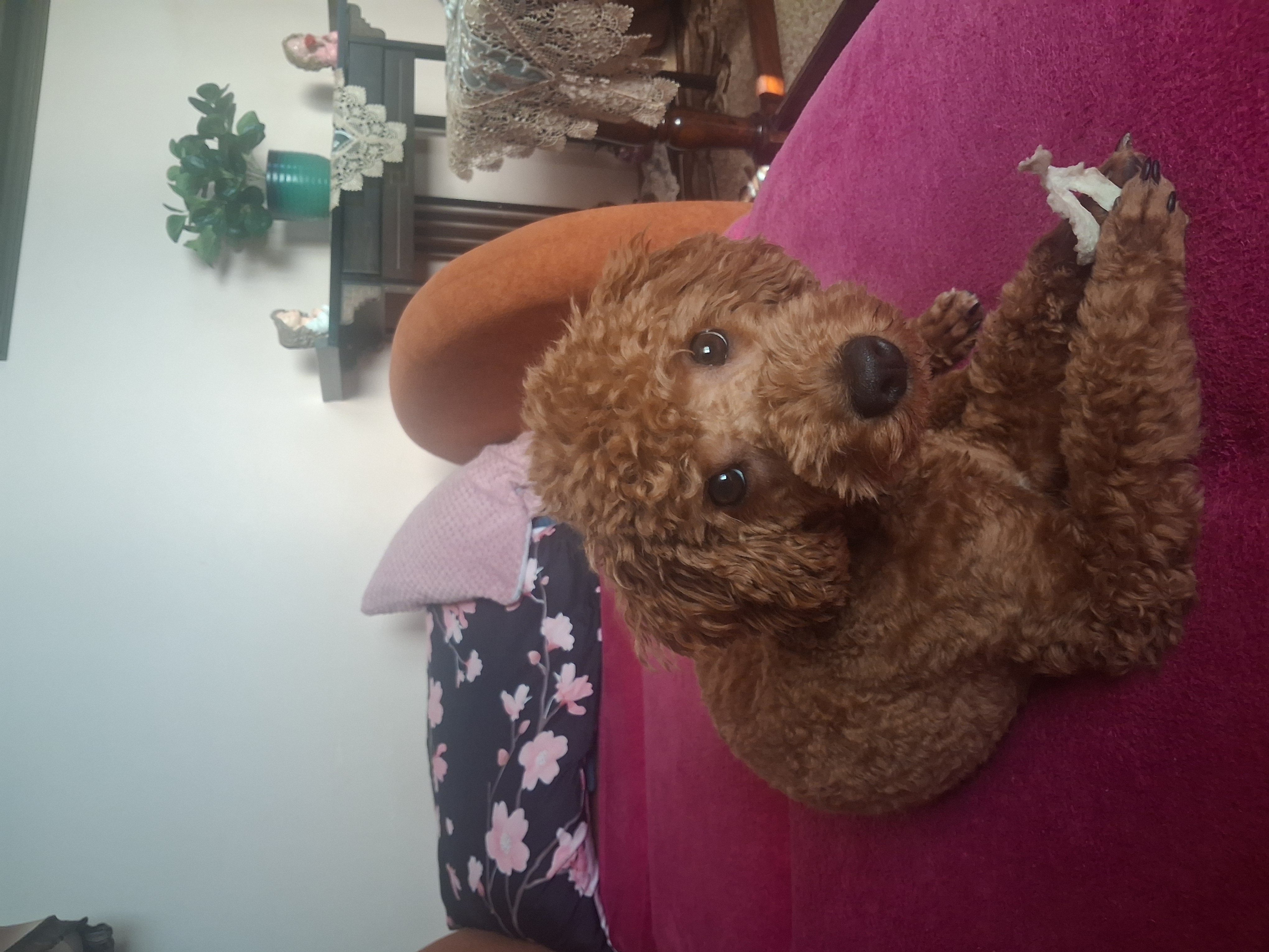 Miroslava Mendlíková foto 2