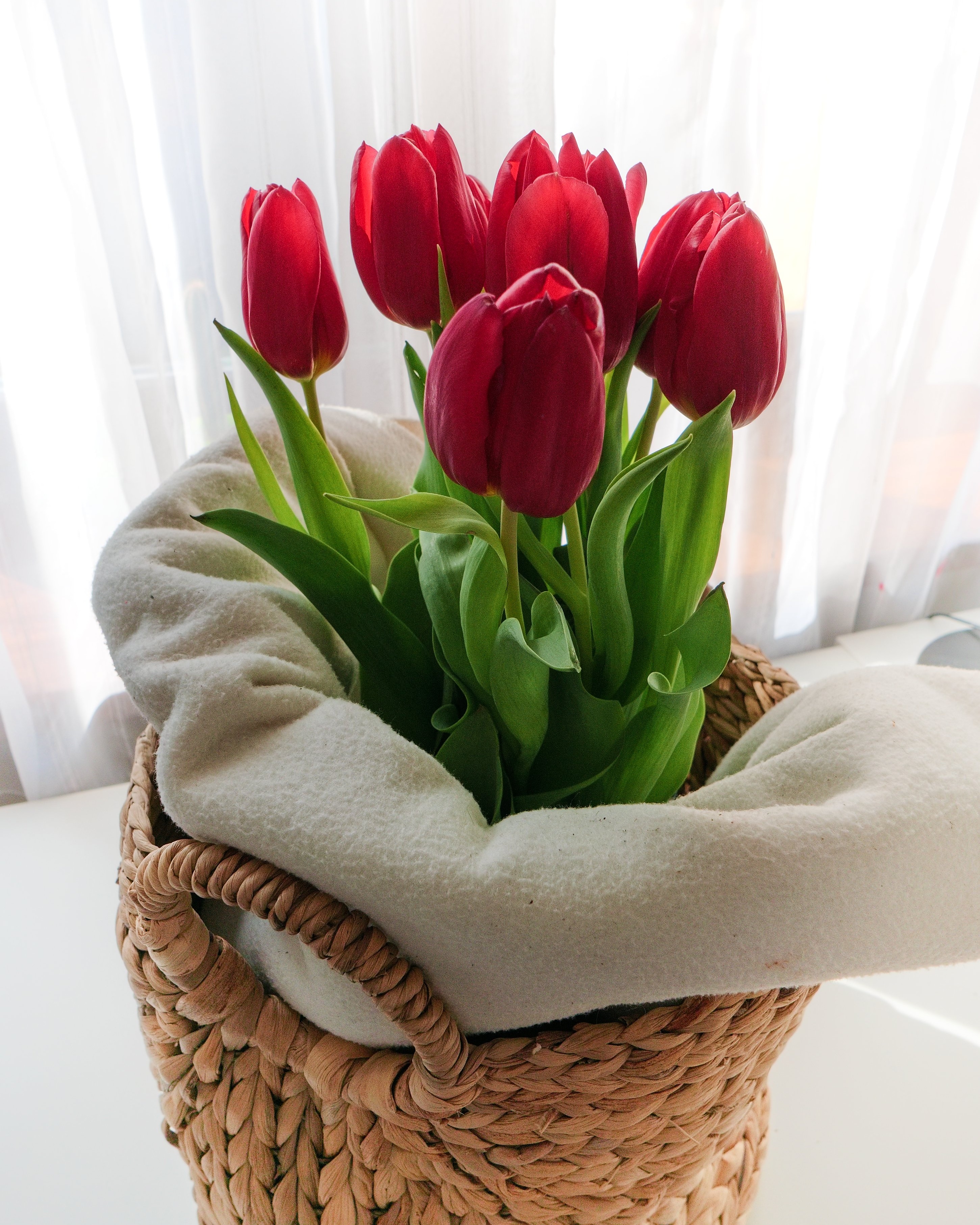 Květiny od Srdce foto 2