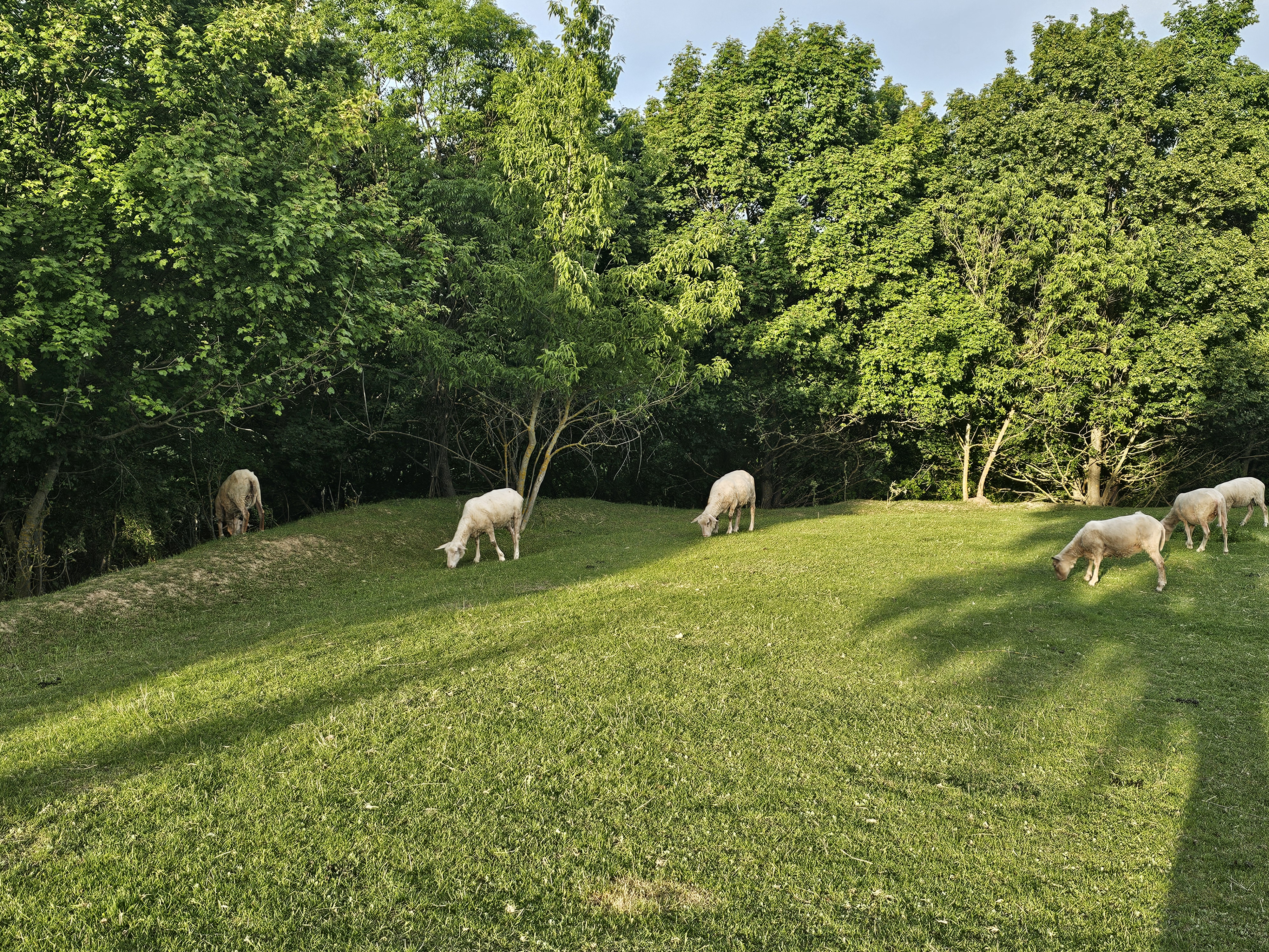 Farma Ovčí Terasy - Karavanová stání foto 6