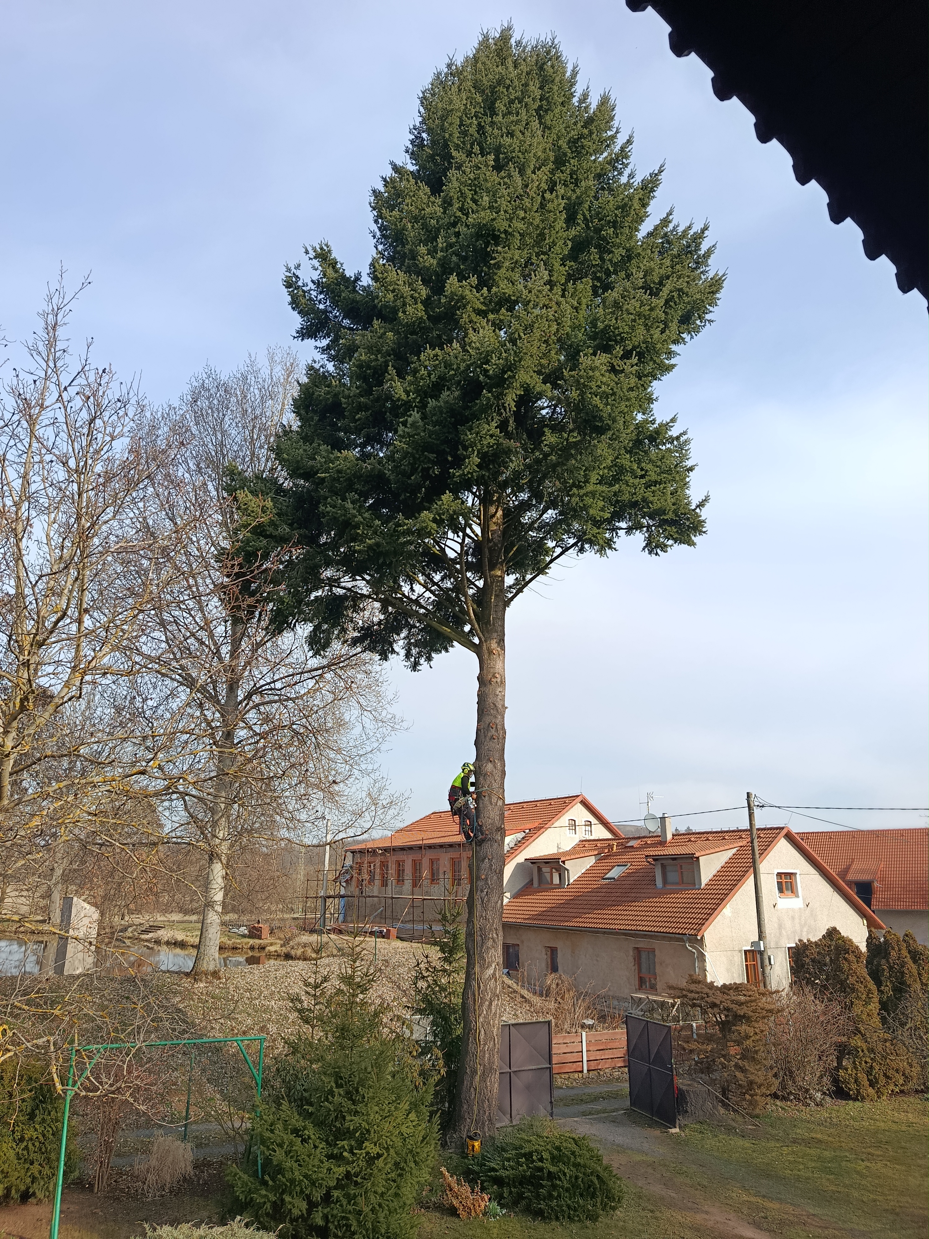 Tomáš Kopřiva - Arboristika a rizikové kácení foto 6